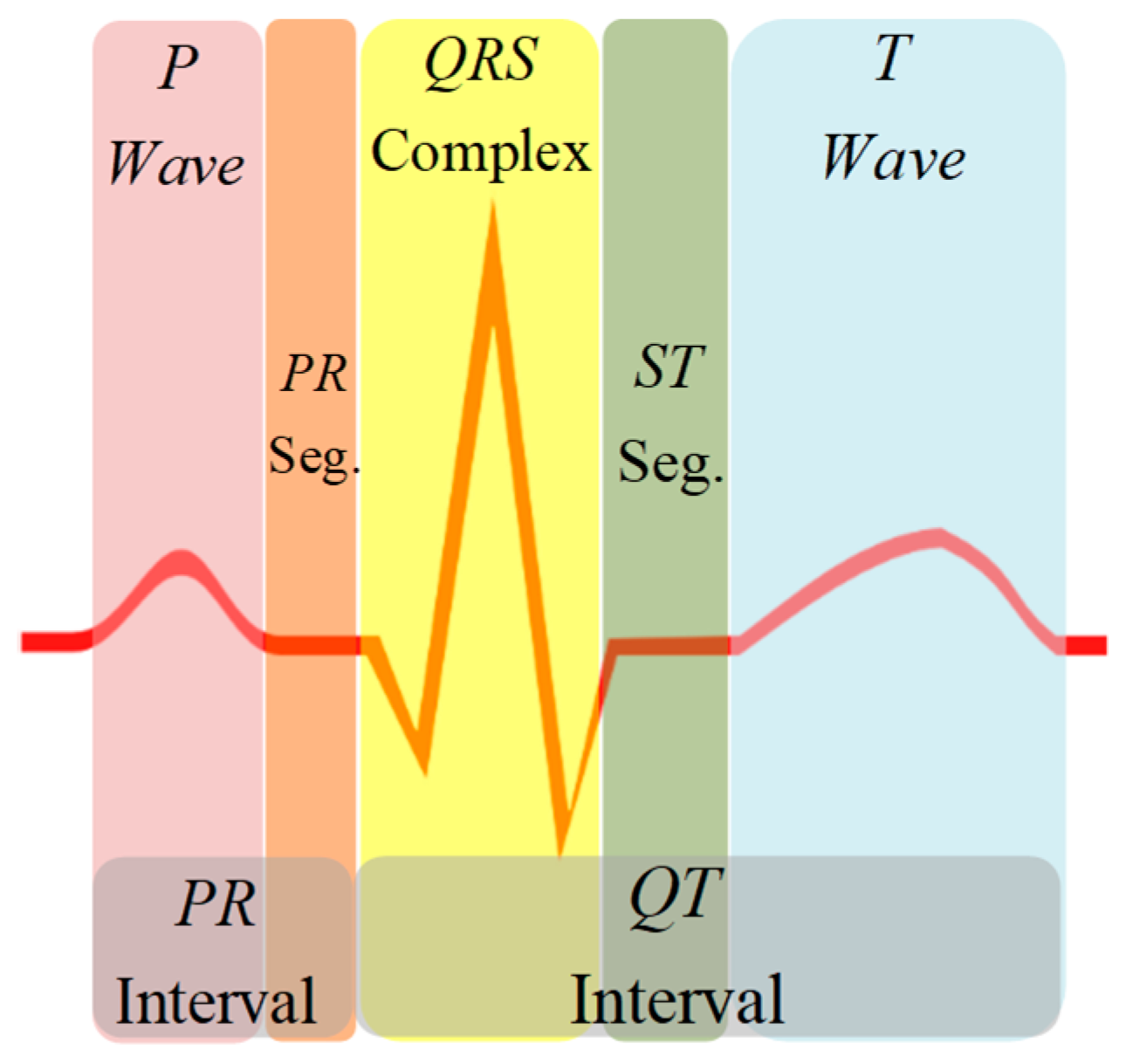 Sensors 19 00775 g001