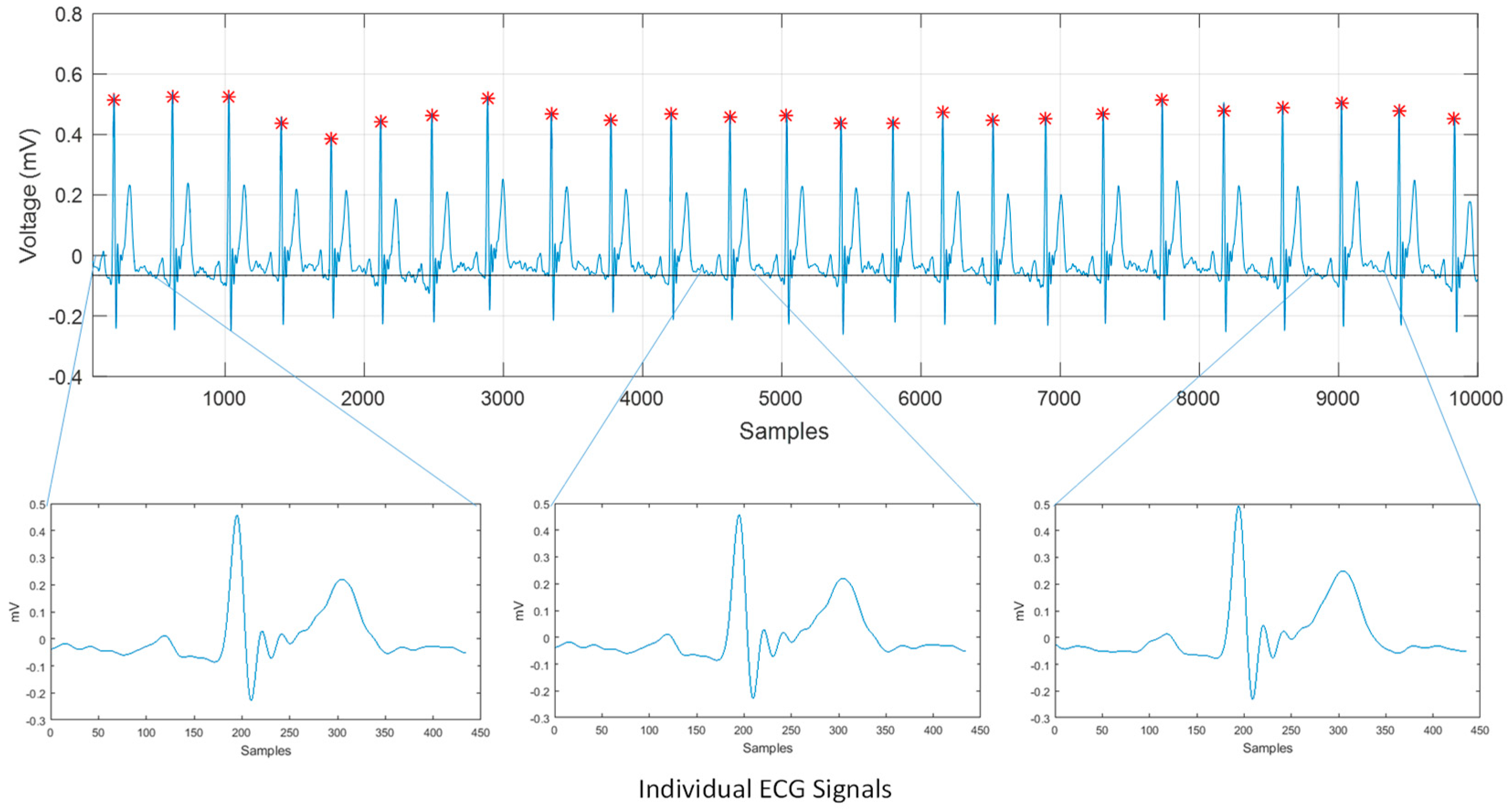 Sensors 19 00775 g010