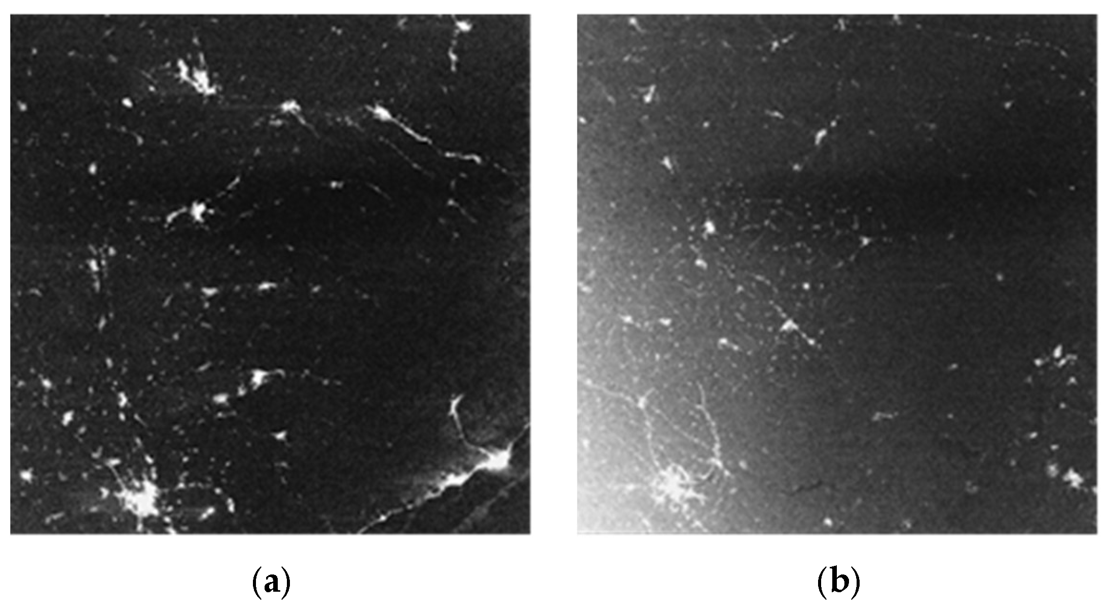 Sensors 19 00797 g014