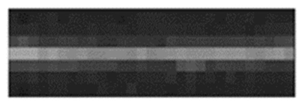 Sensors 19 00797 g016