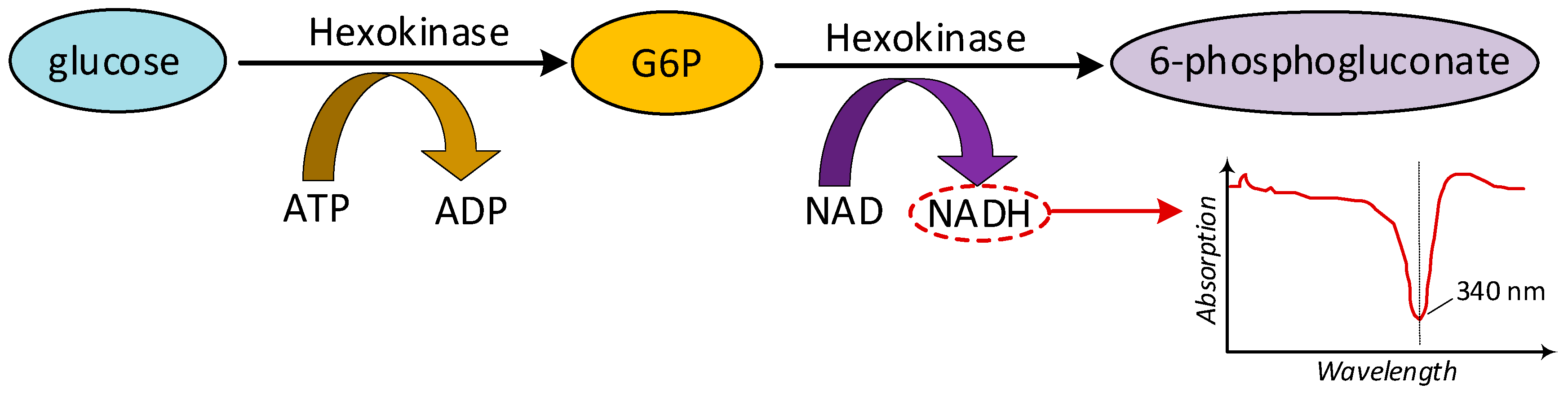 Sensors 19 00800 g003