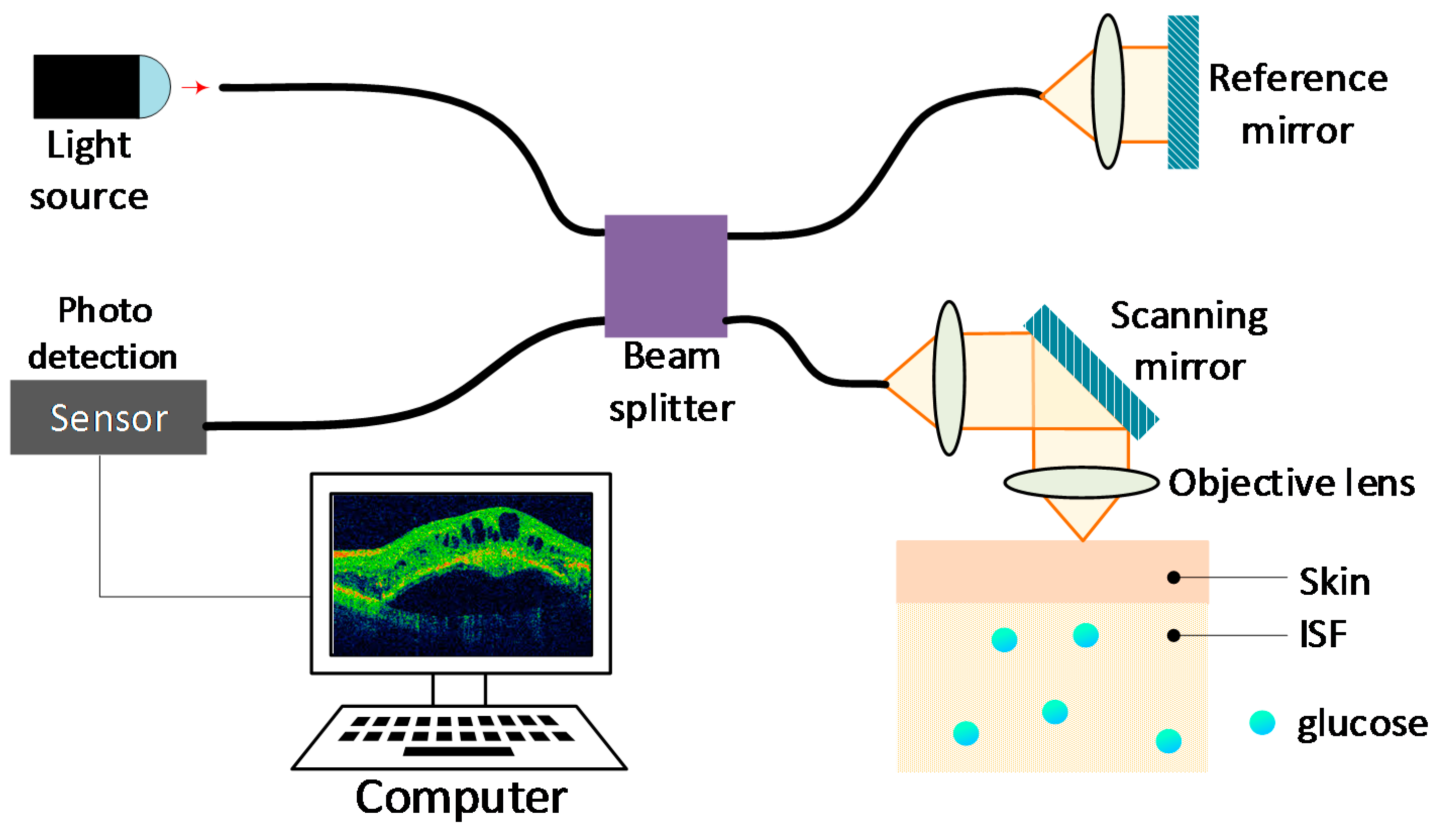 Sensors 19 00800 g008