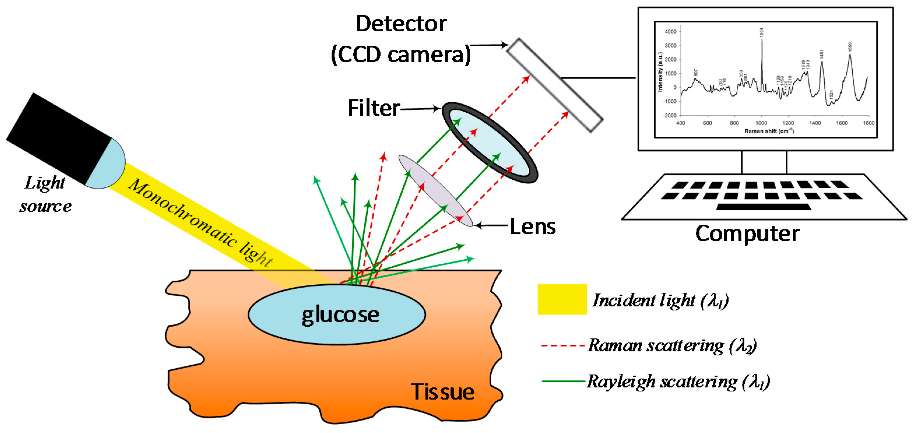 Sensors 19 00800 g010