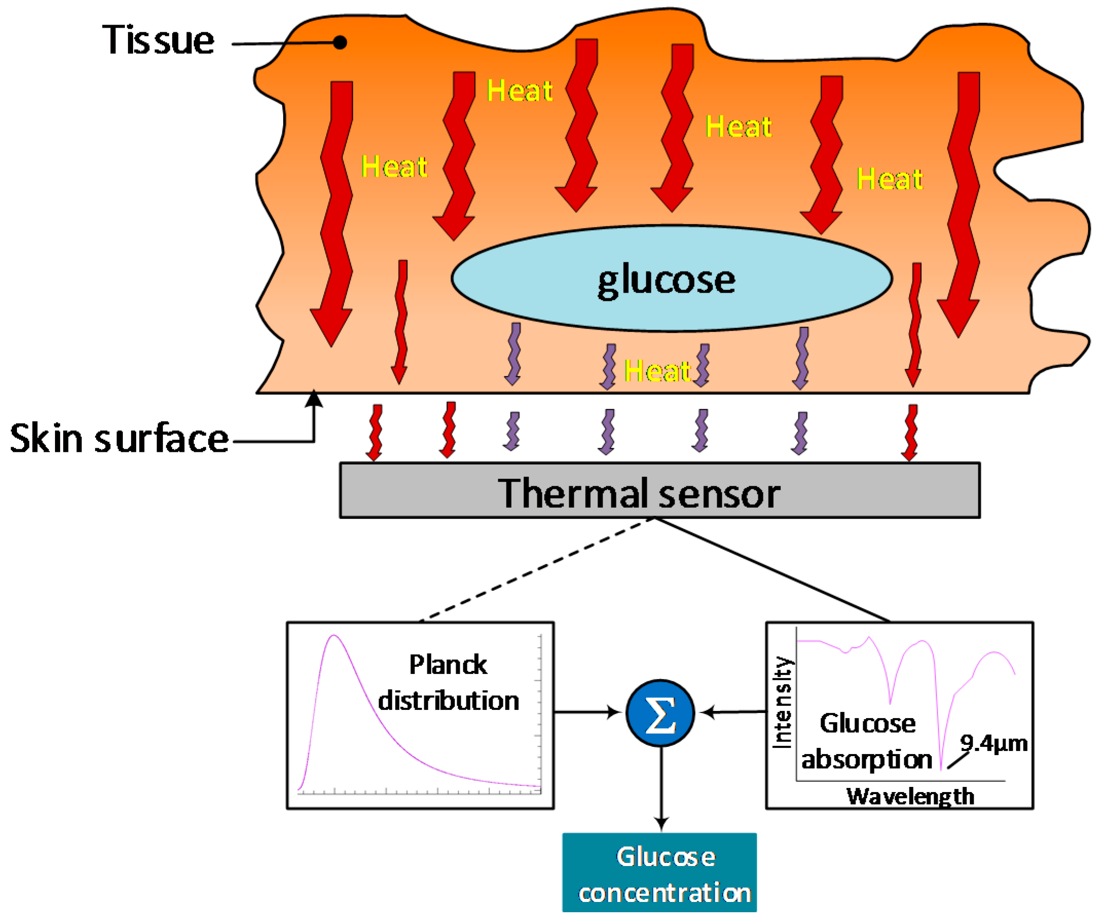 Sensors 19 00800 g011