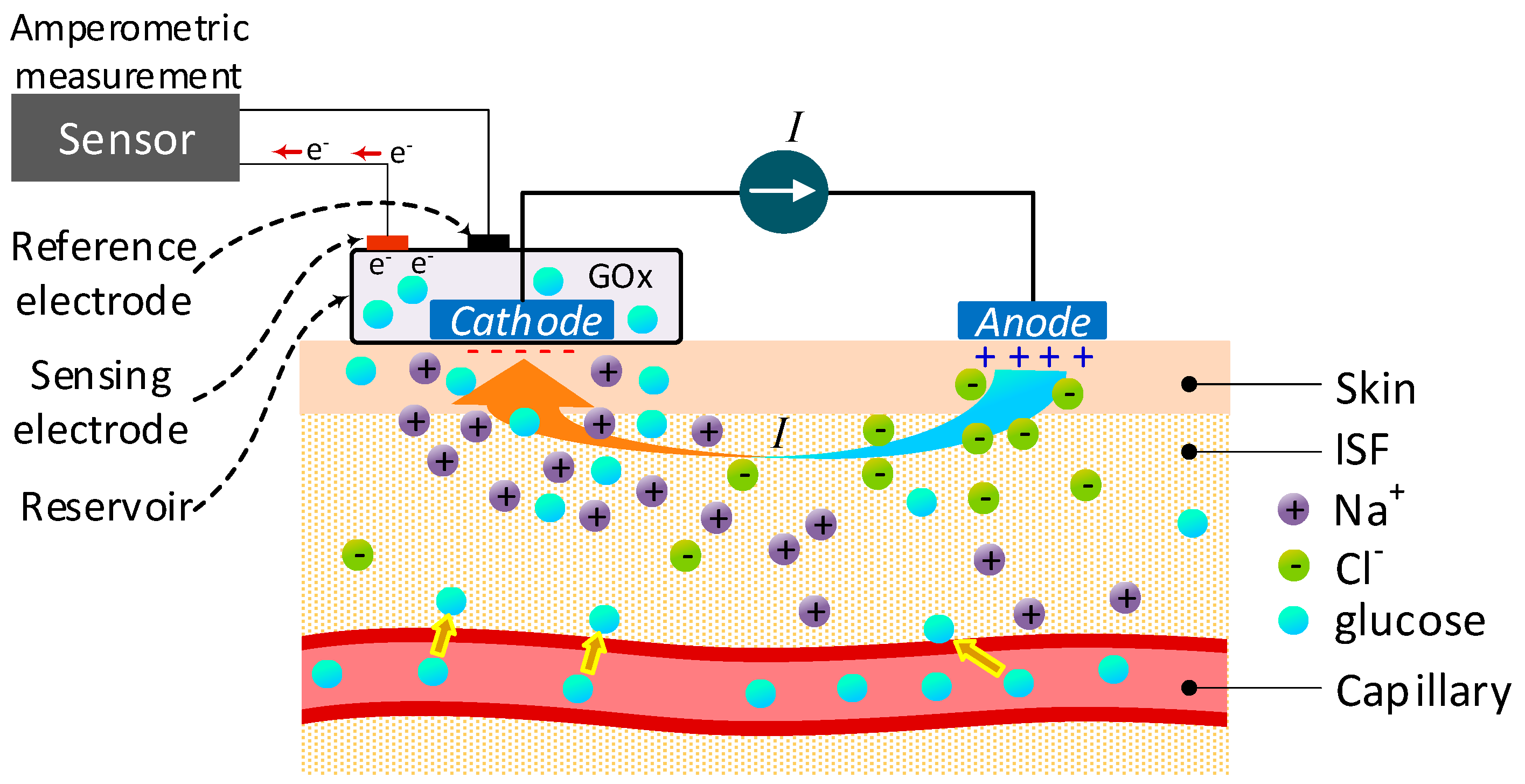 Sensors 19 00800 g015