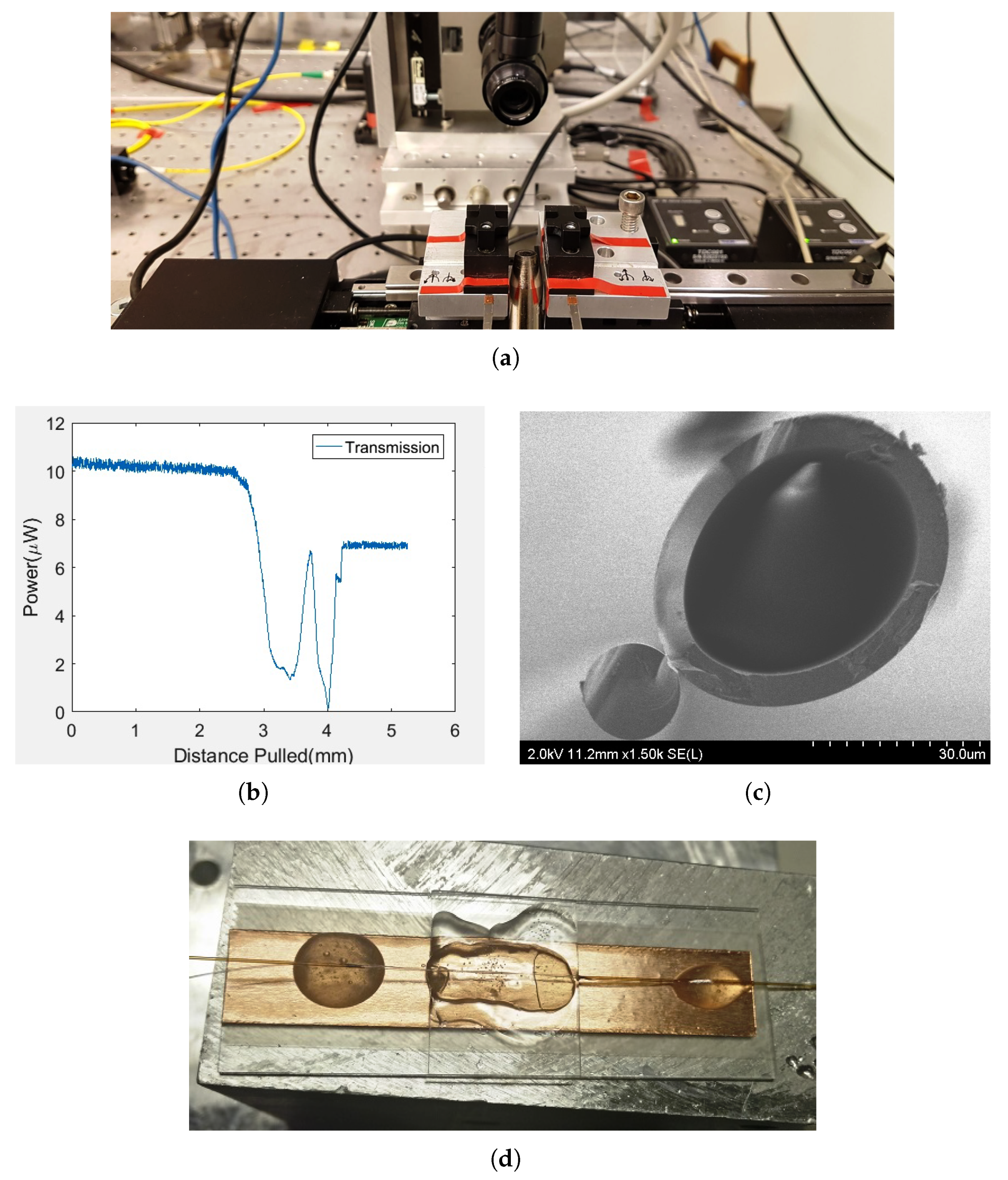 Sensors 19 00806 g003