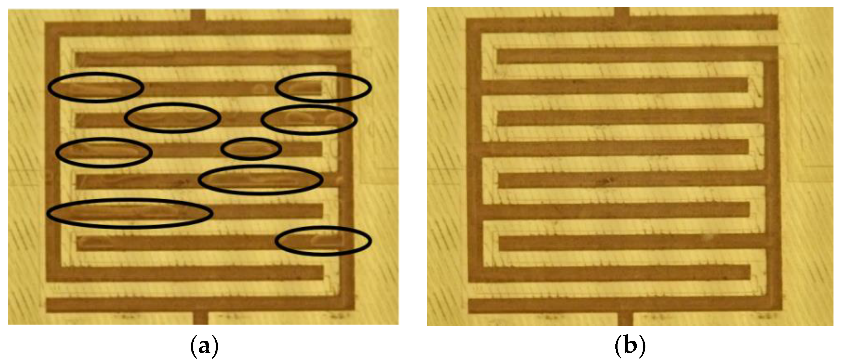 Sensors 19 00819 g006