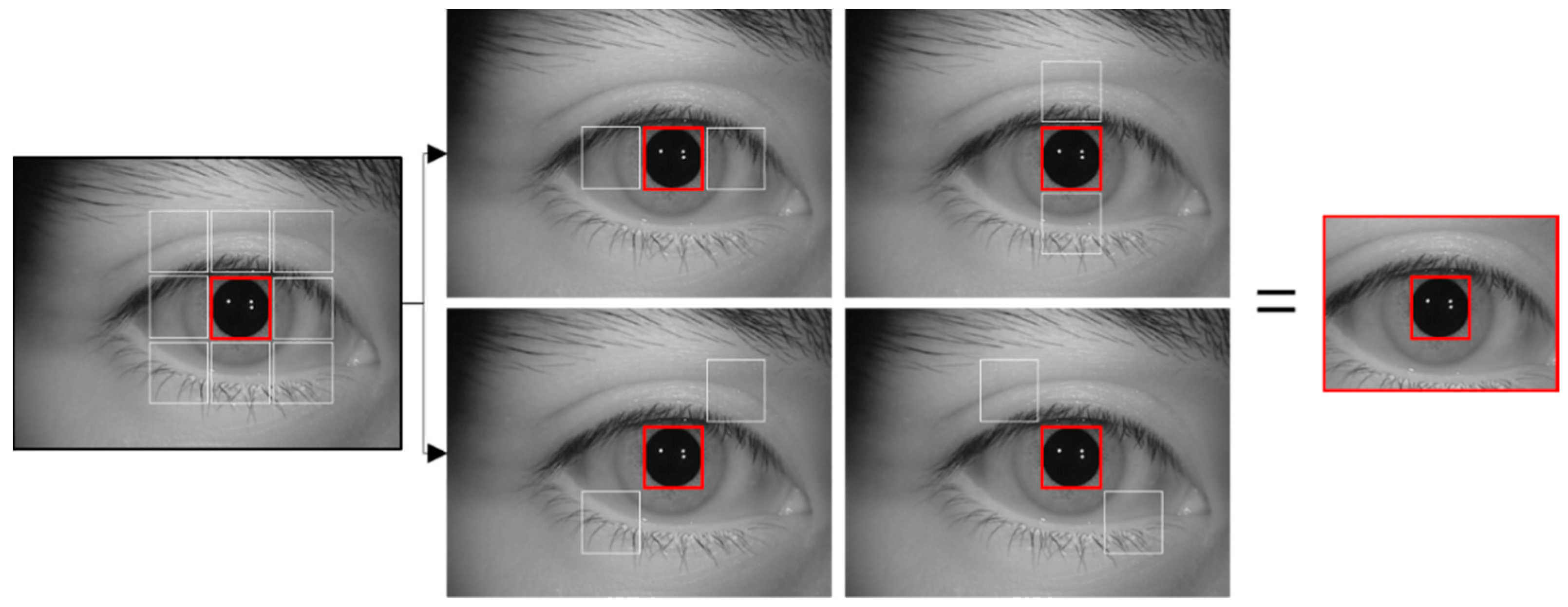 Sensors 19 00842 g002