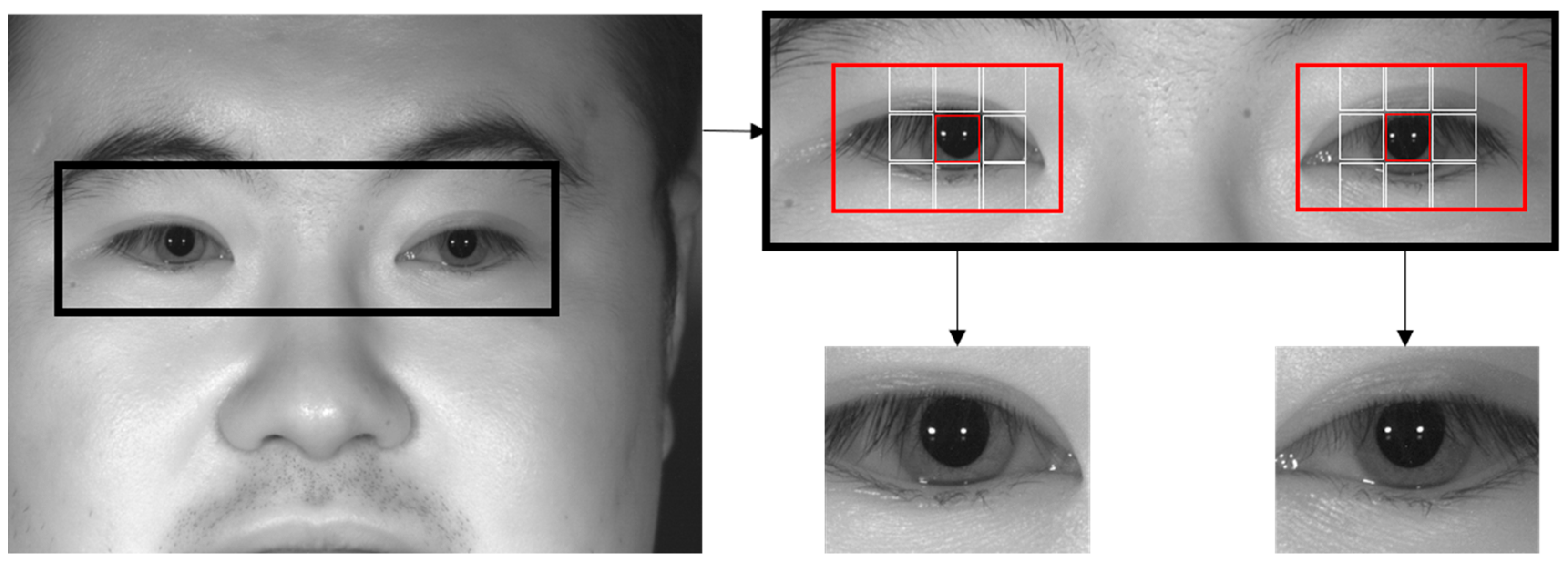 Sensors 19 00842 g003
