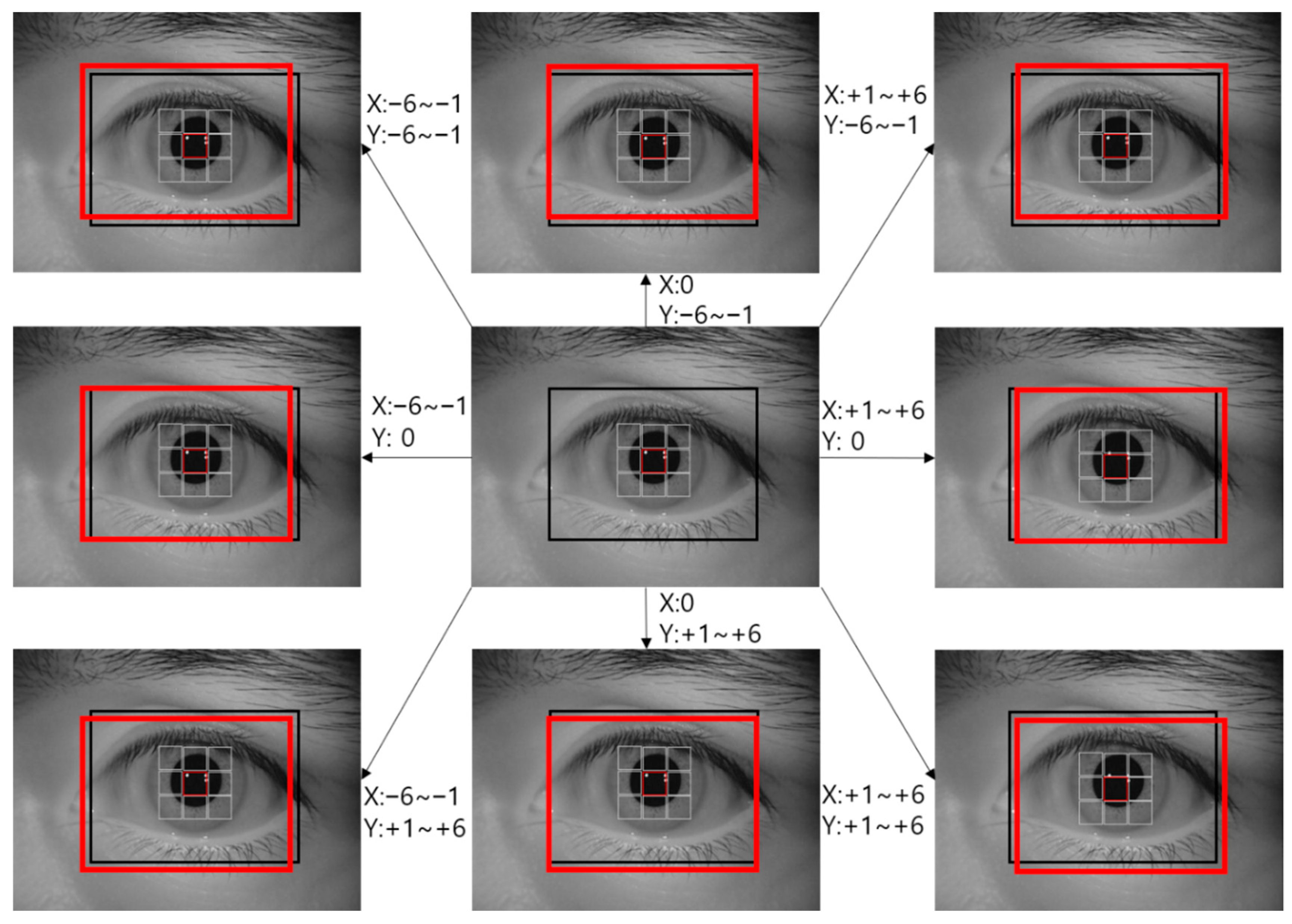 Sensors 19 00842 g006