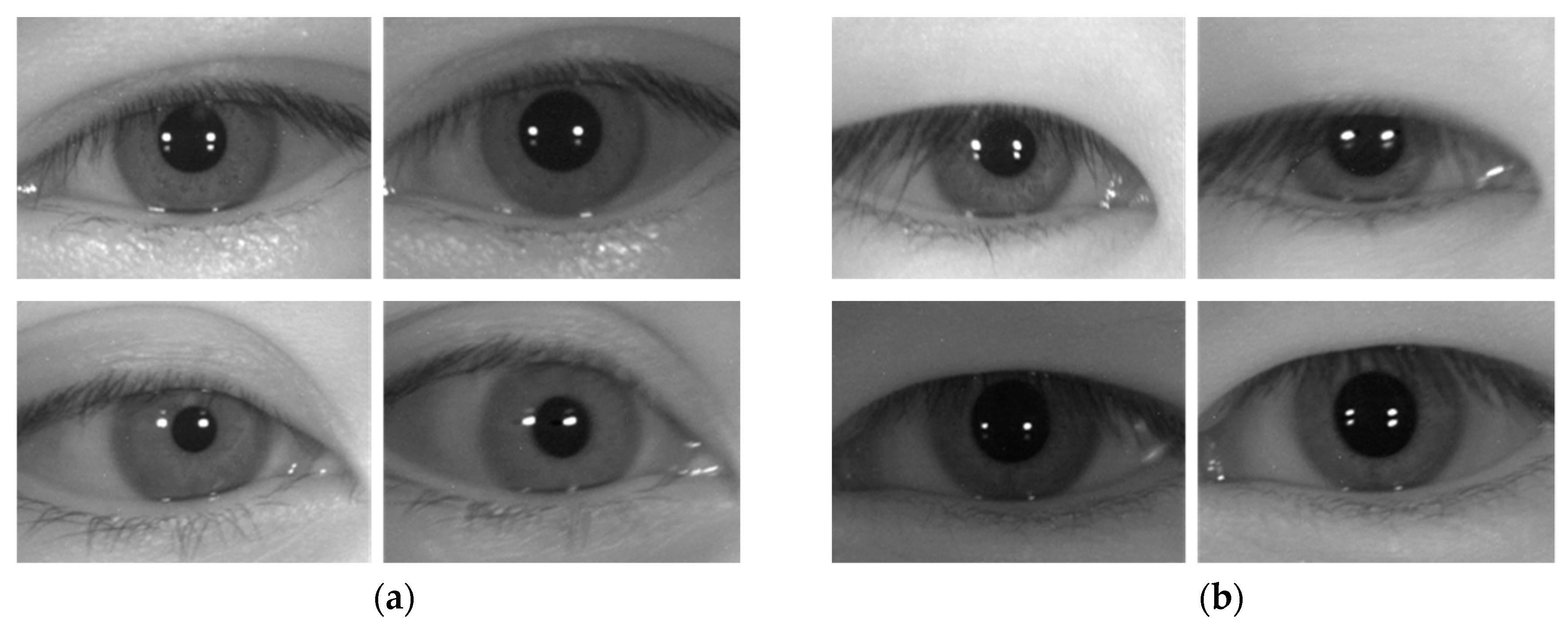 Sensors 19 00842 g009a