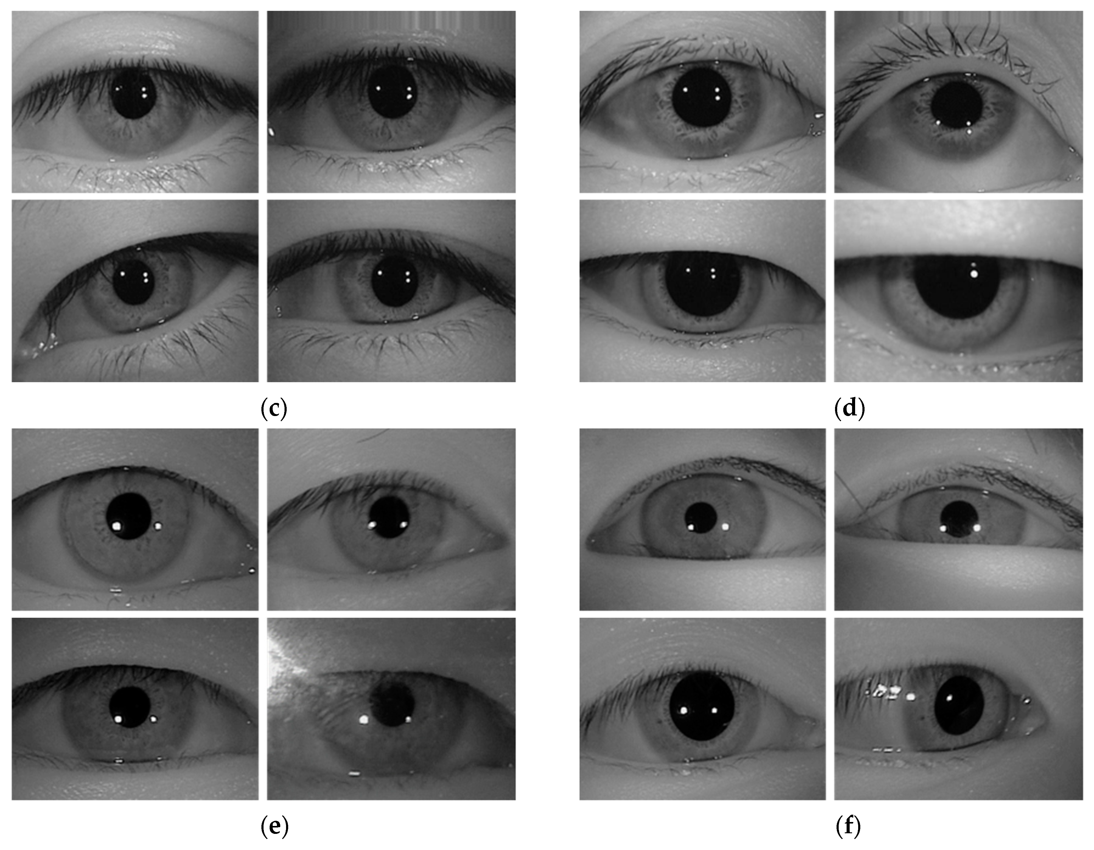 Sensors 19 00842 g009b