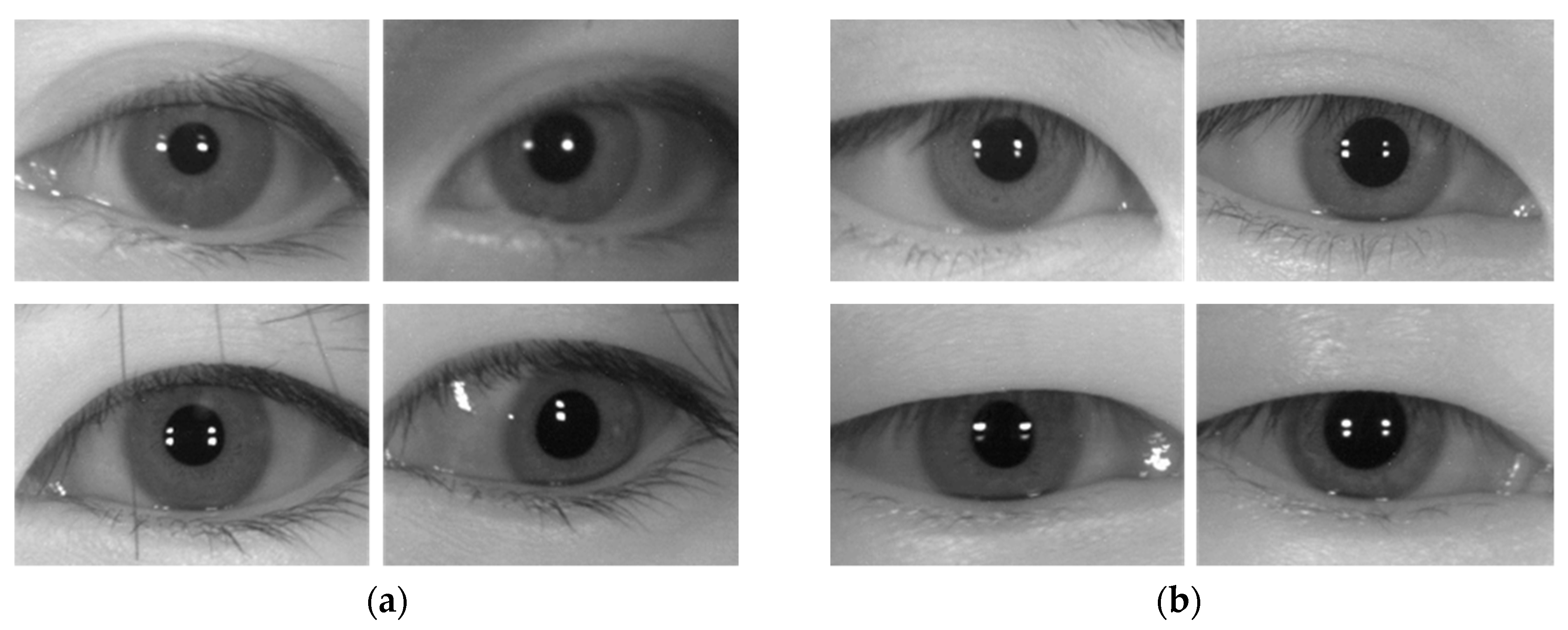 Sensors 19 00842 g010a