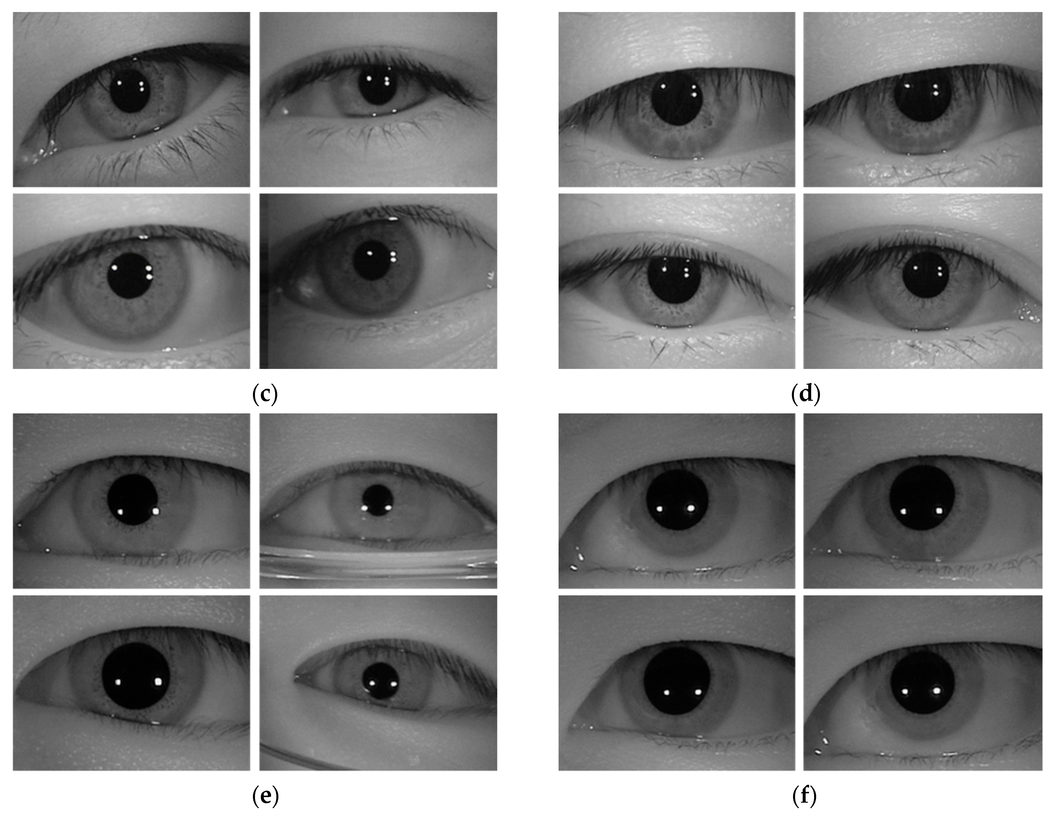 Sensors 19 00842 g010b