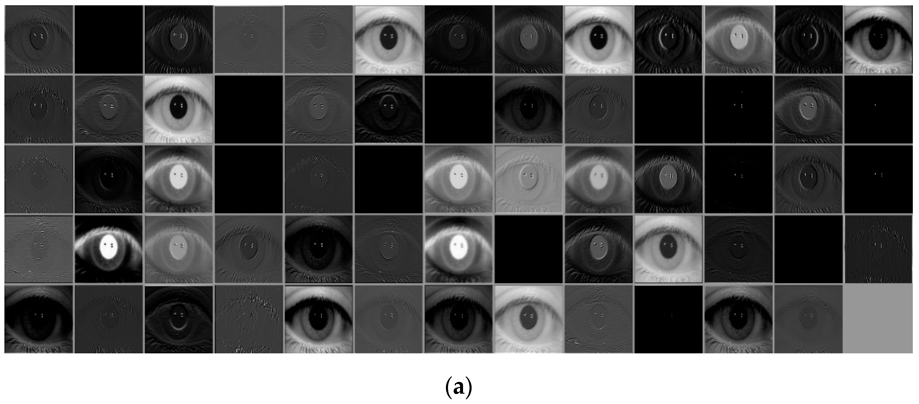 Sensors 19 00842 g012a