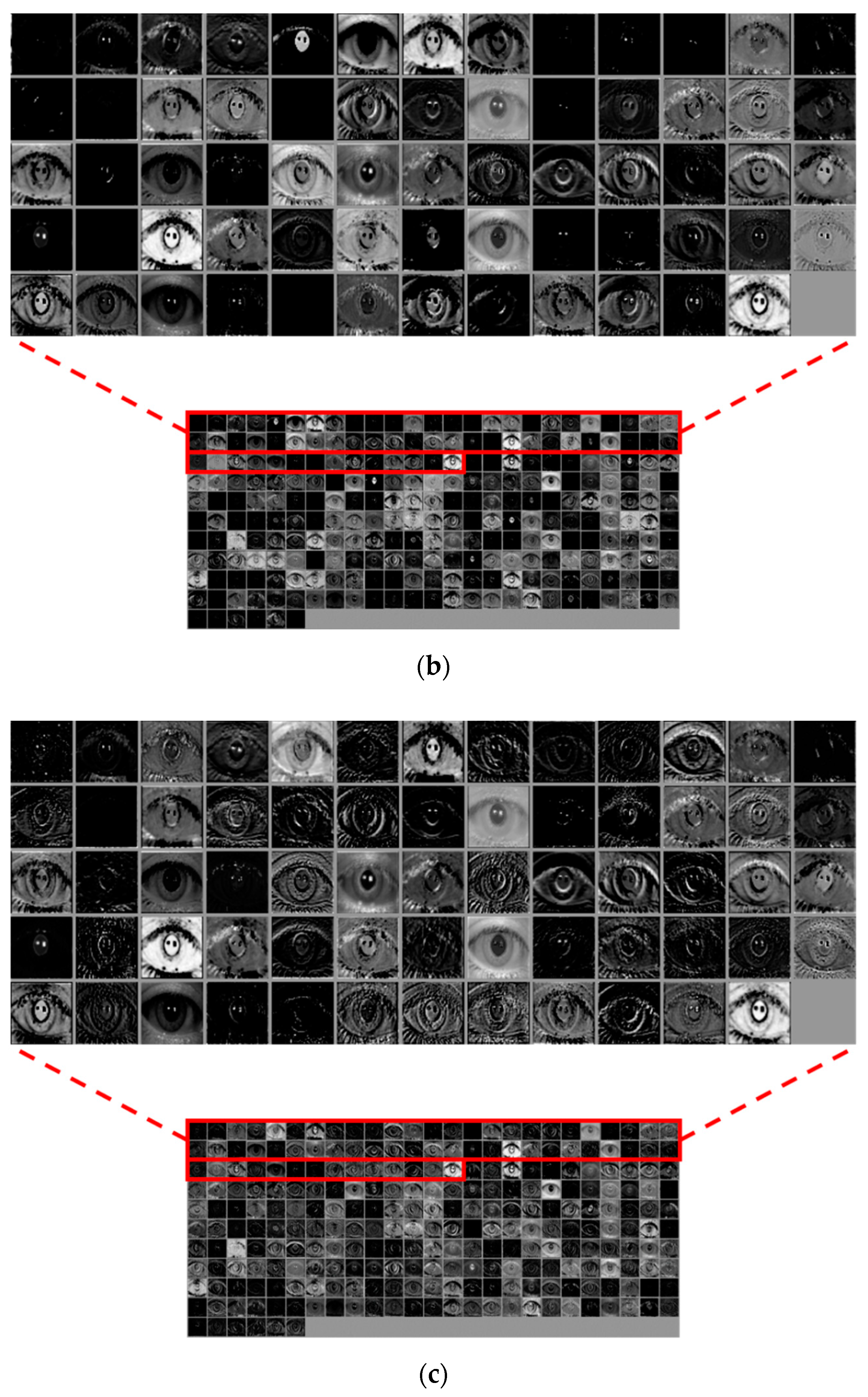 Sensors 19 00842 g012b