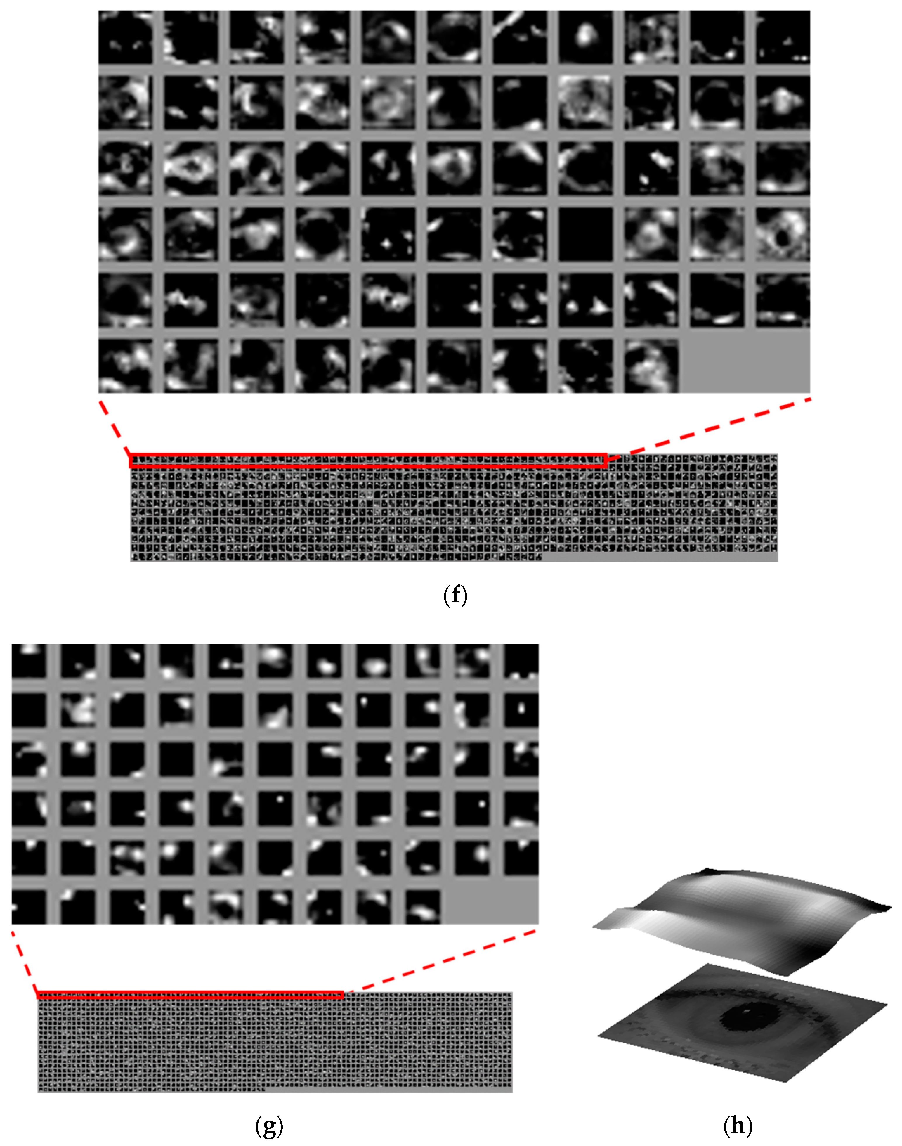 Sensors 19 00842 g012d
