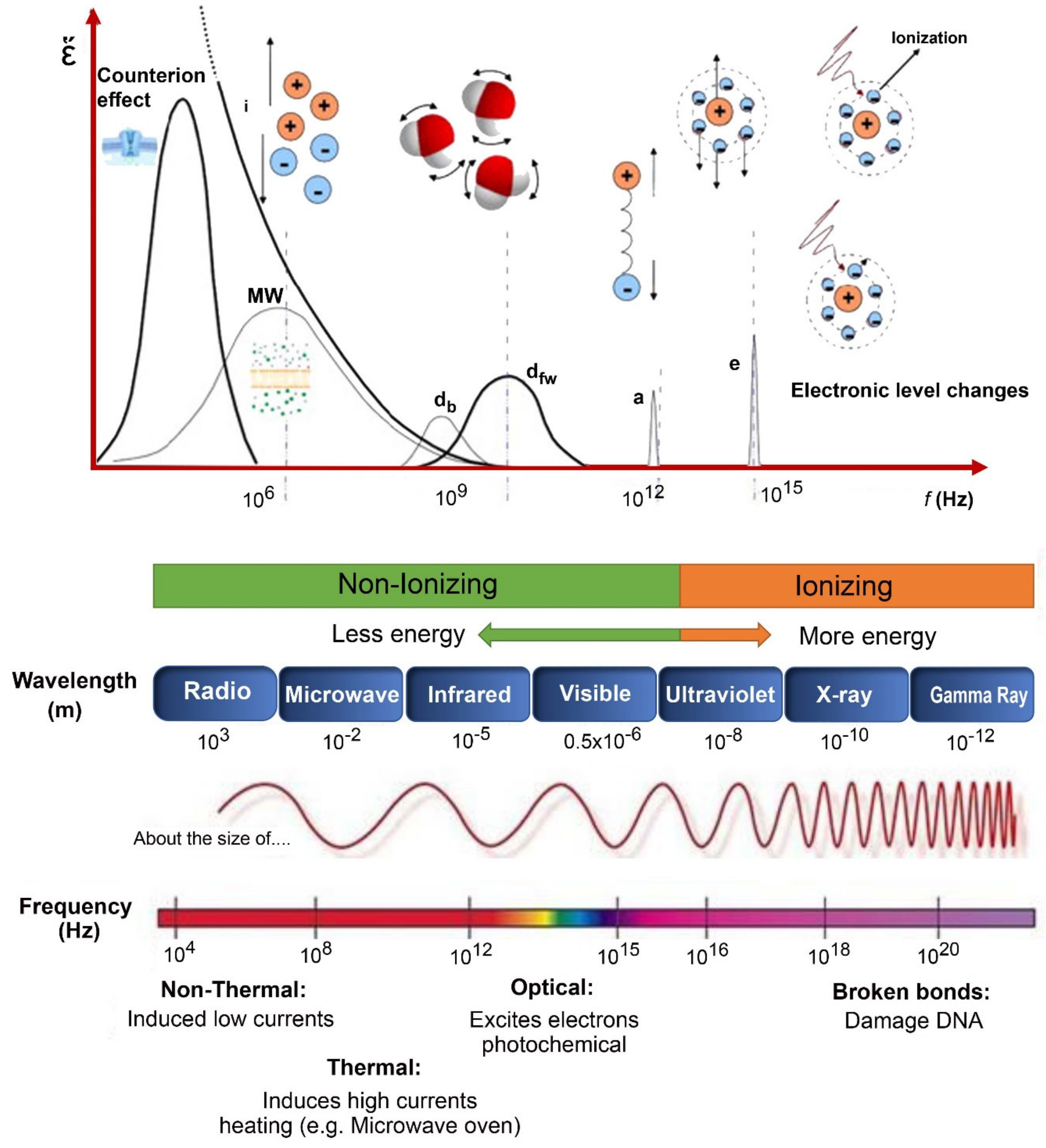Sensors 19 00846 g001