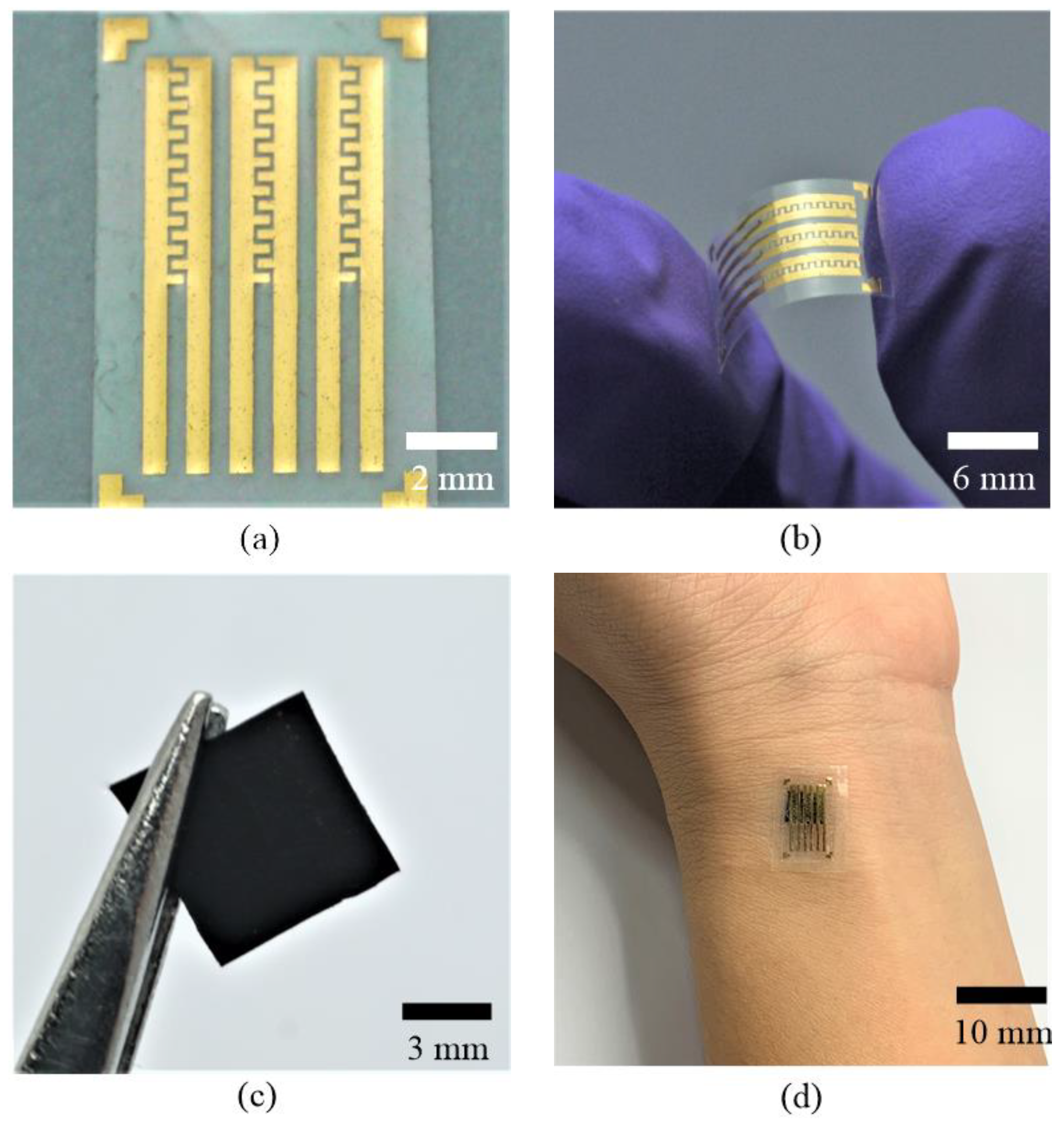 Sensors 19 00848 g006