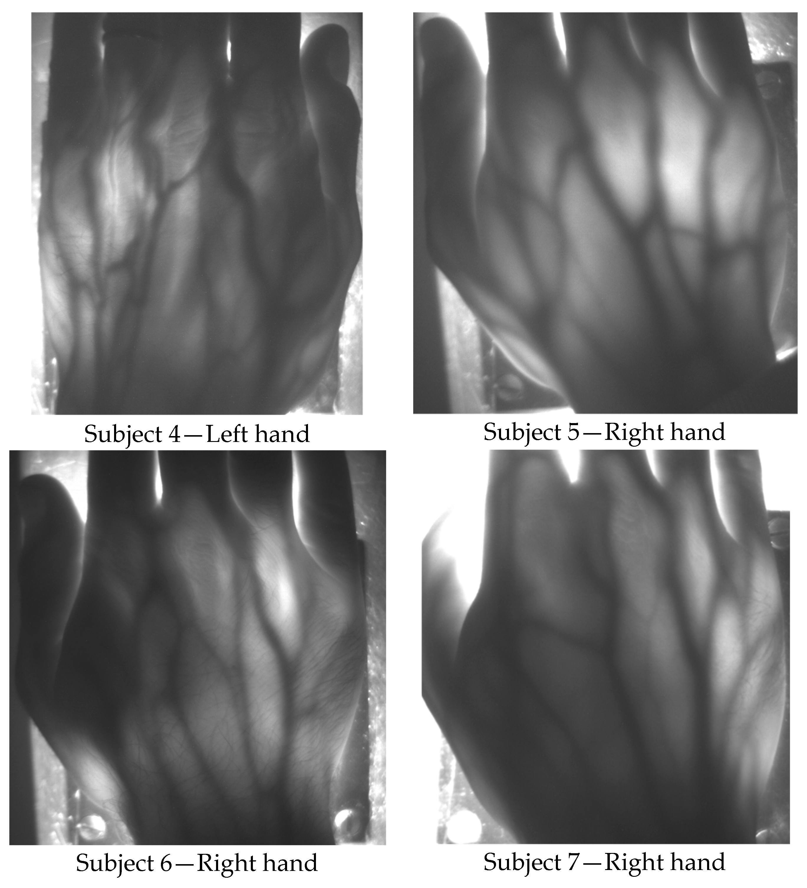 Sensors 19 00851 g005 Sensors 19 00851 g005