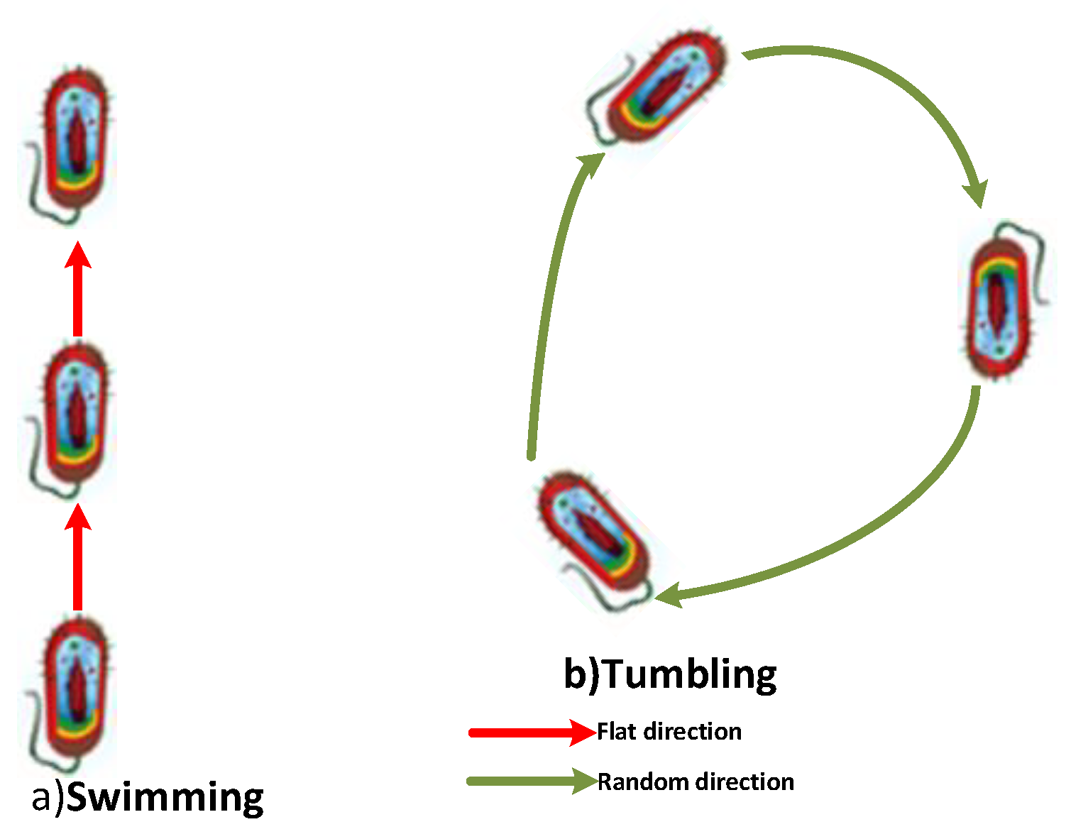 Sensors 19 00867 g004