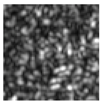 Sensors 19 00871 i008 Sensors 19 00871 i008