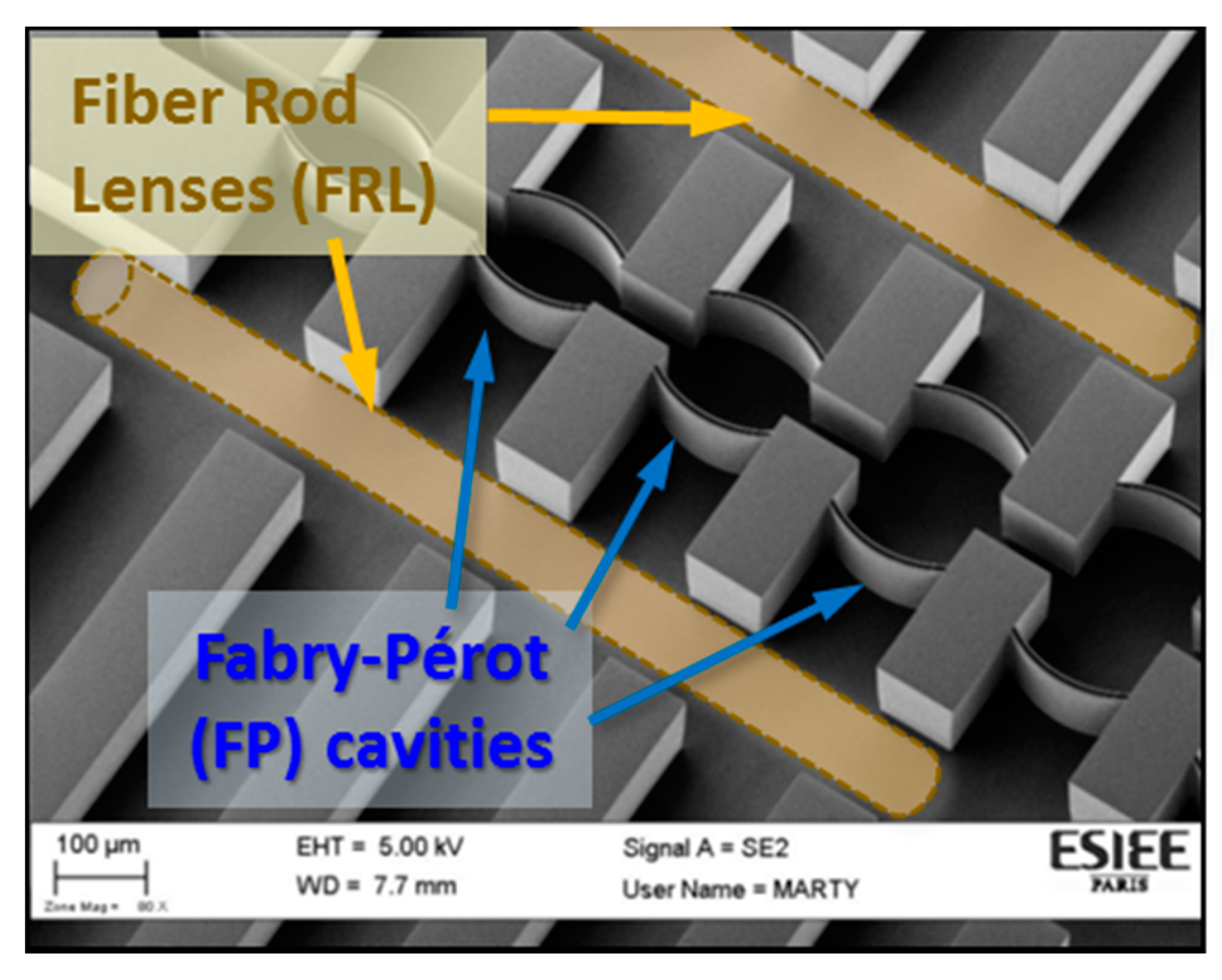 Sensors 19 00944 g003 Sensors 19 00944 g003
