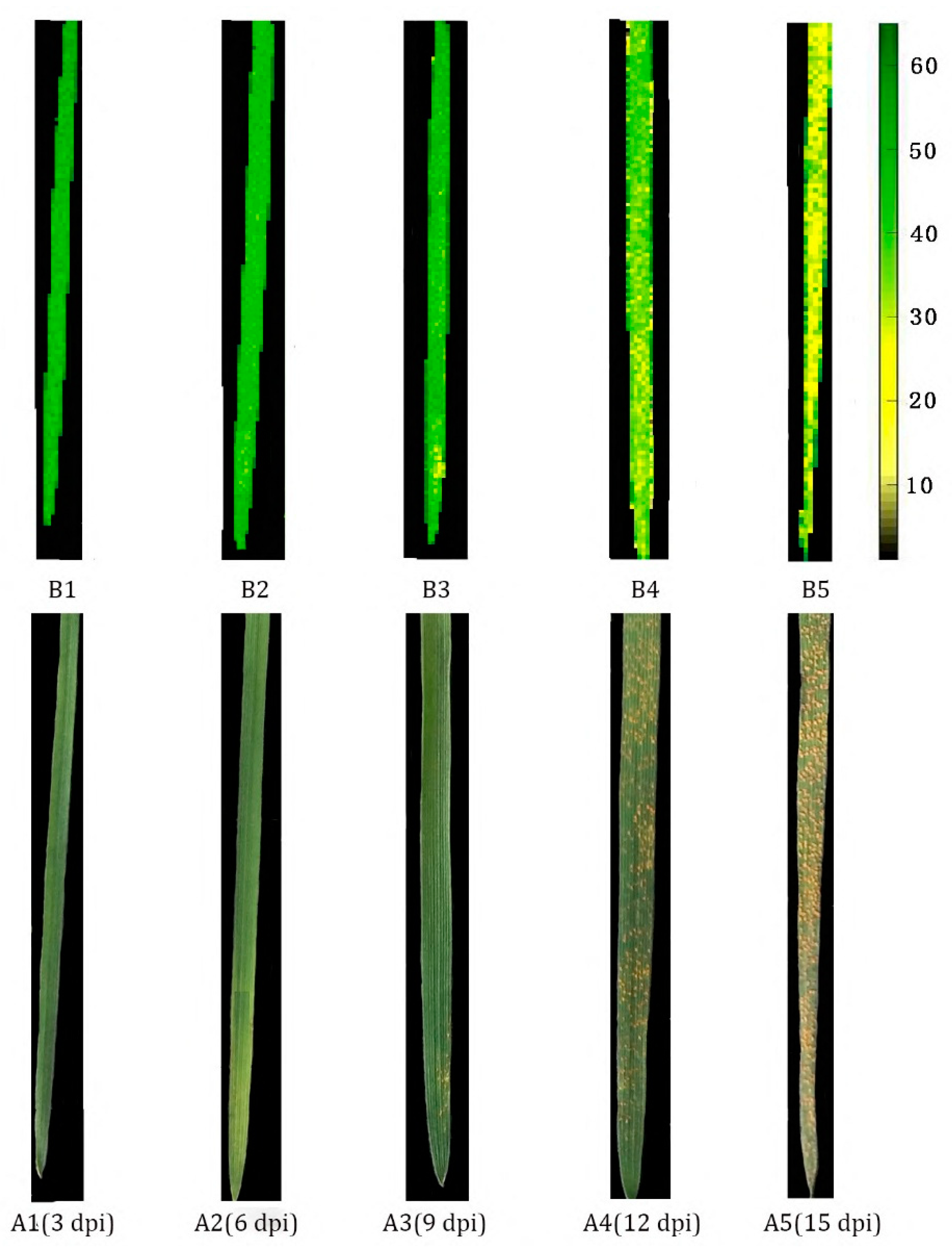 Sensors 19 00952 g008 Sensors 19 00952 g008