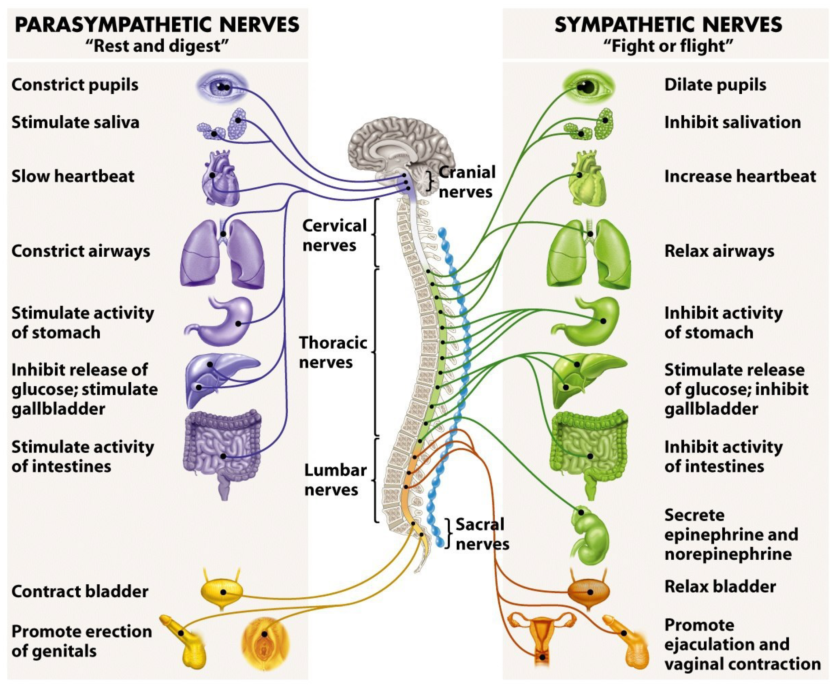 Sensors 19 00989 g001 Sensors 19 00989 g001