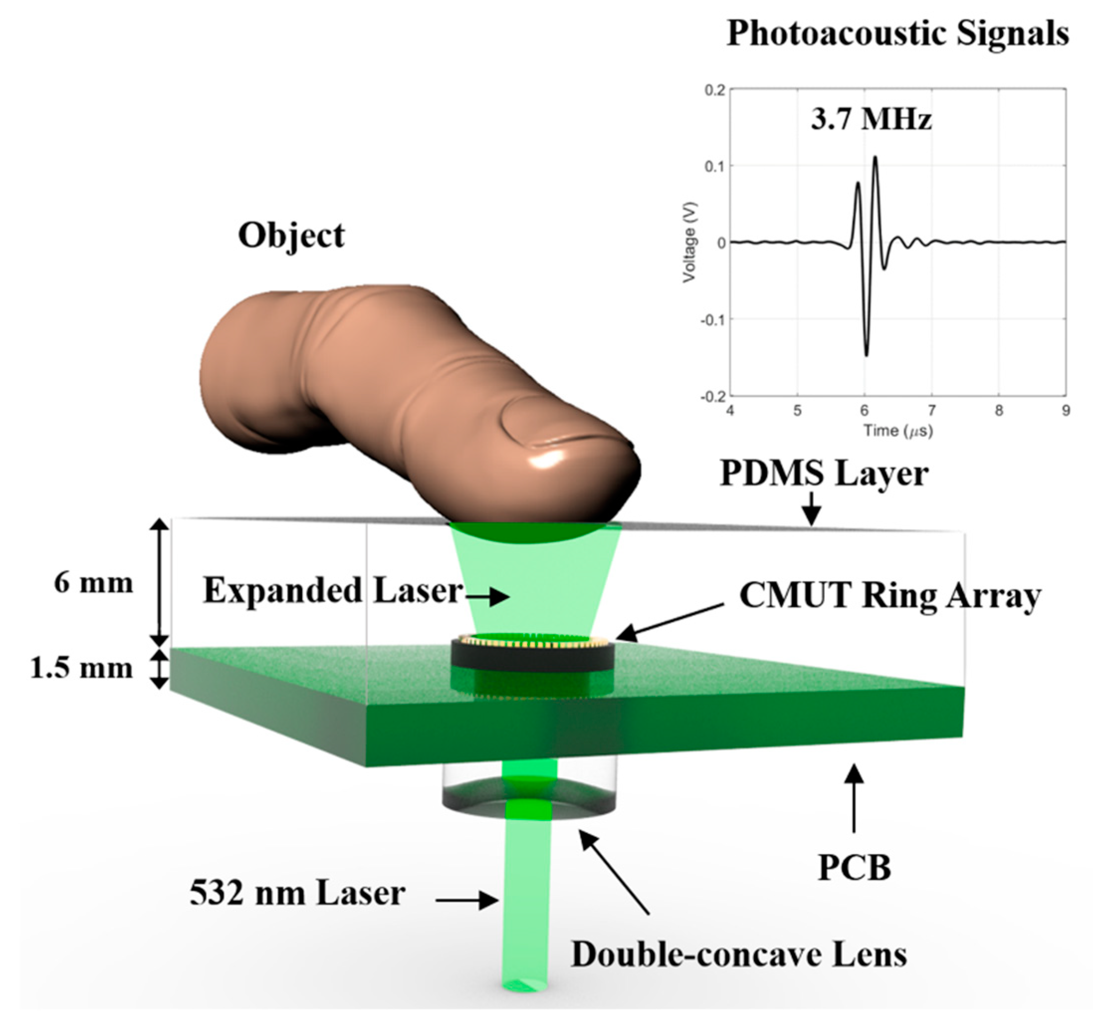Sensors 19 00995 g002 Sensors 19 00995 g002
