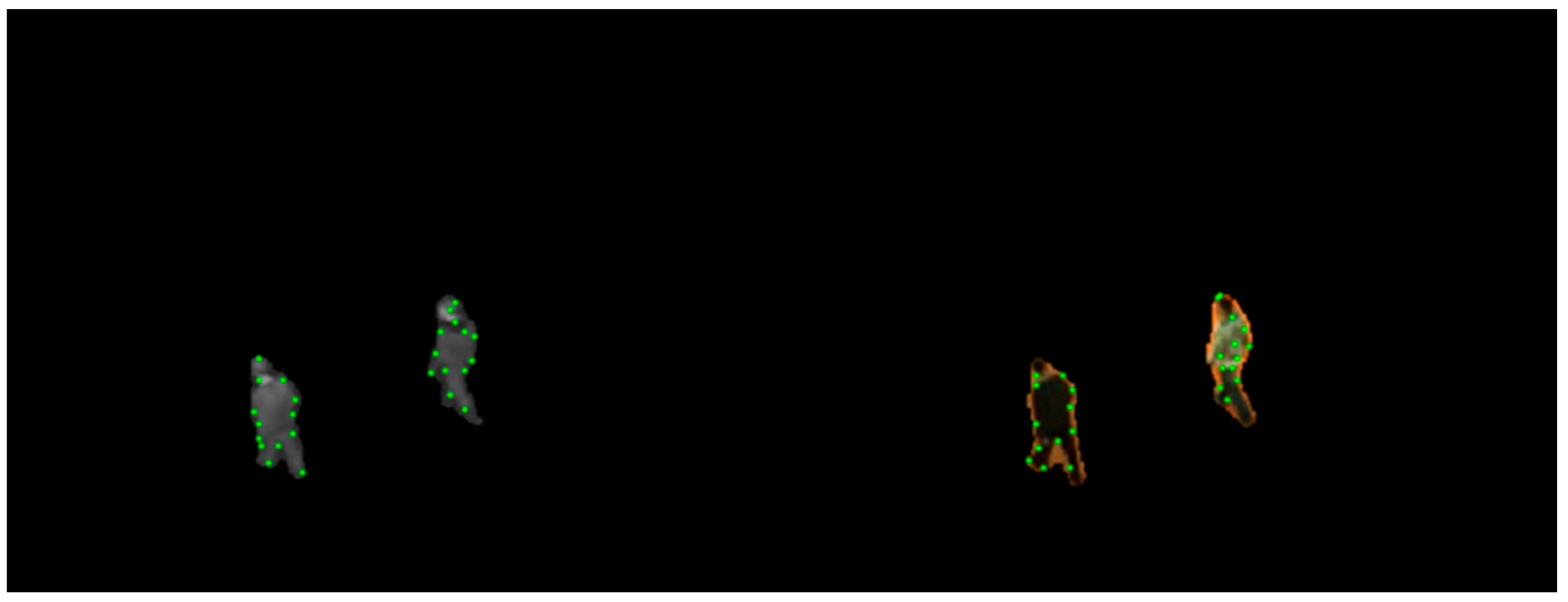 Sensors 19 00997 g005