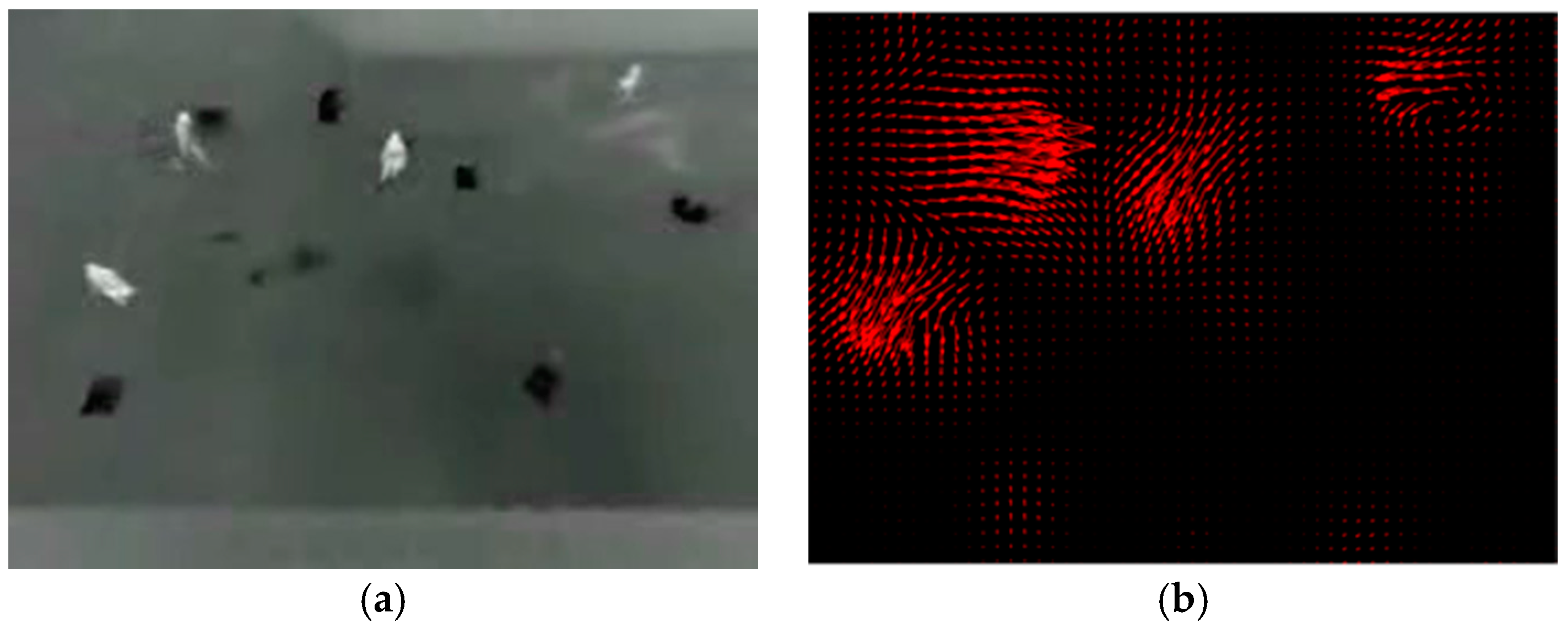 Sensors 19 00997 g011