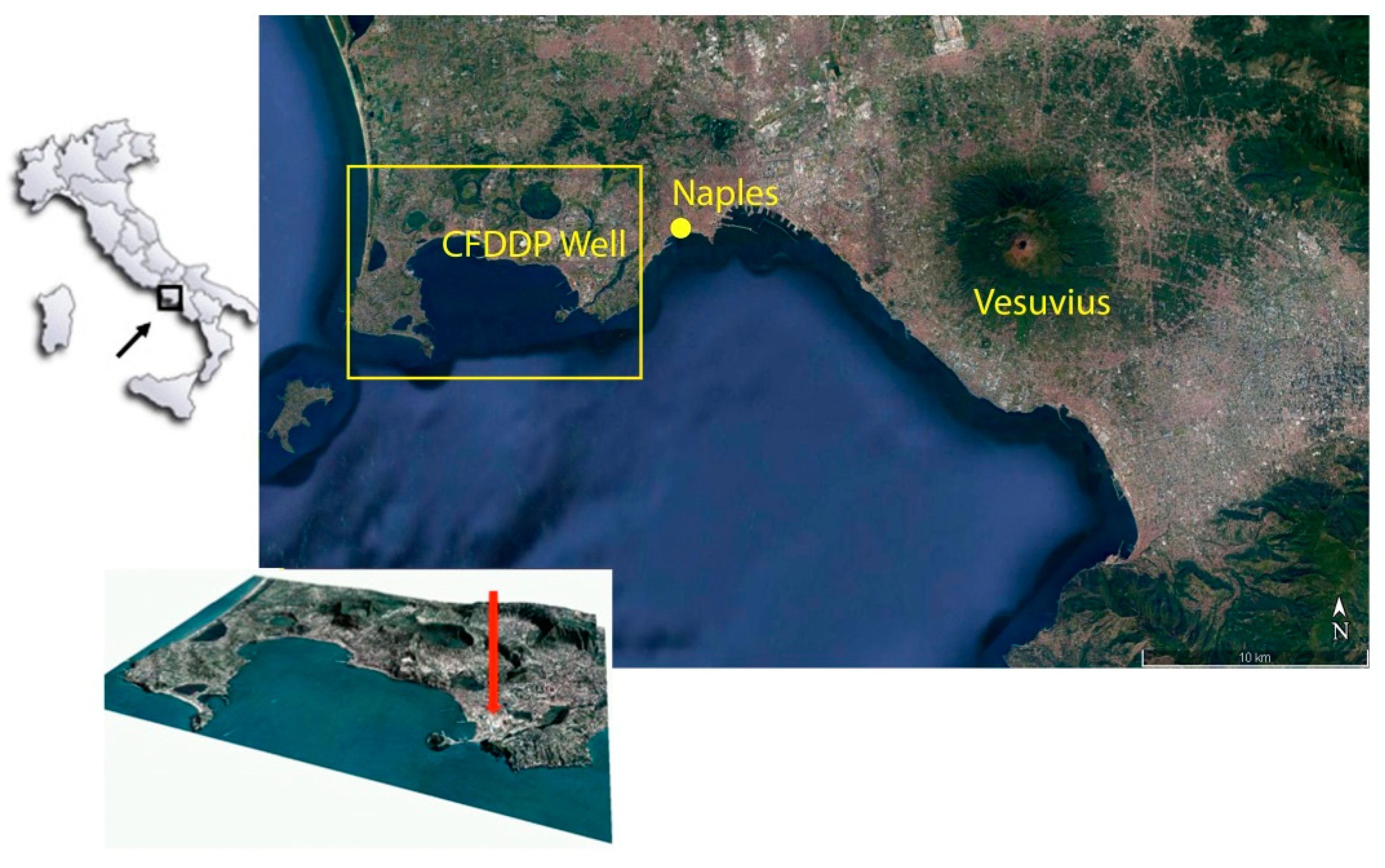 Sensors 19 01009 g001