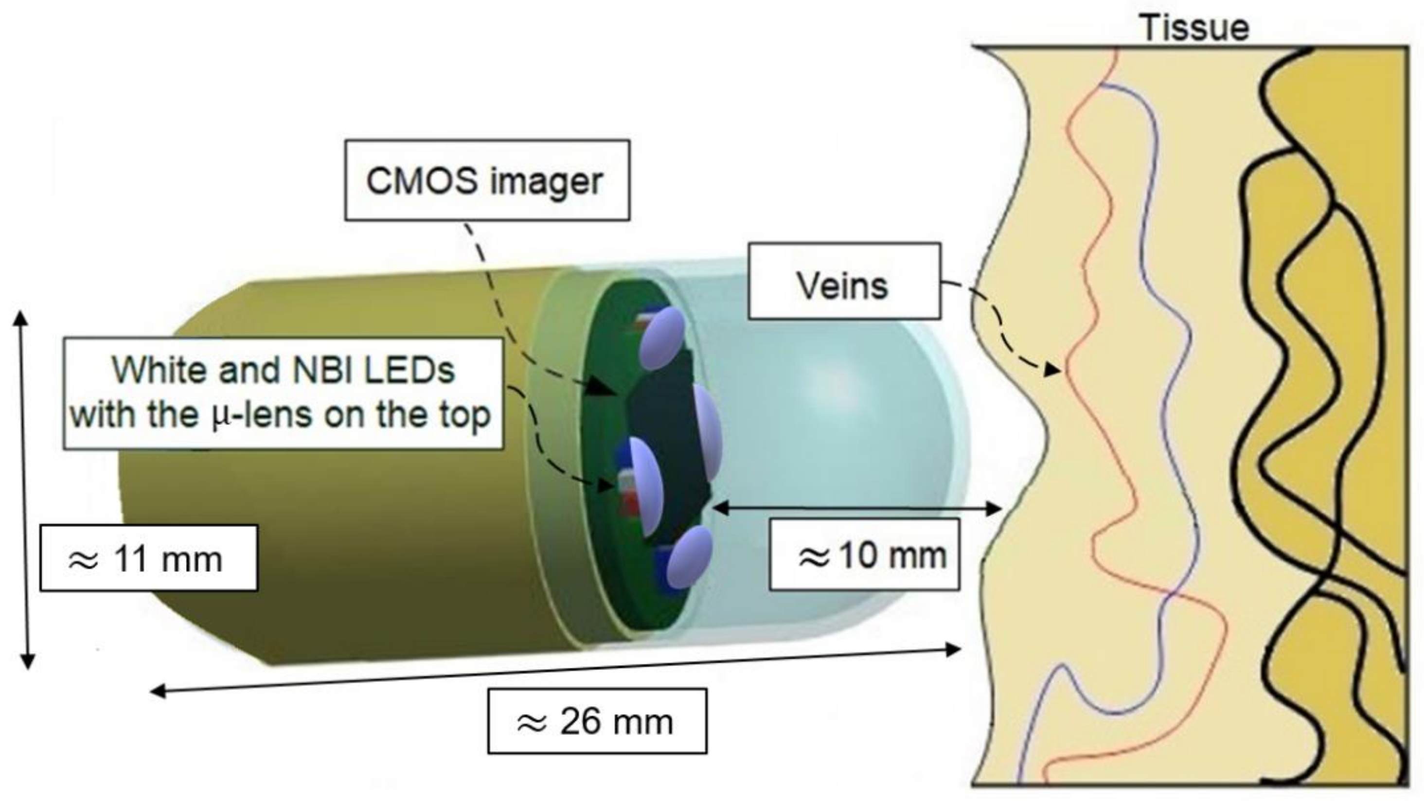 Sensors 19 01057 g001