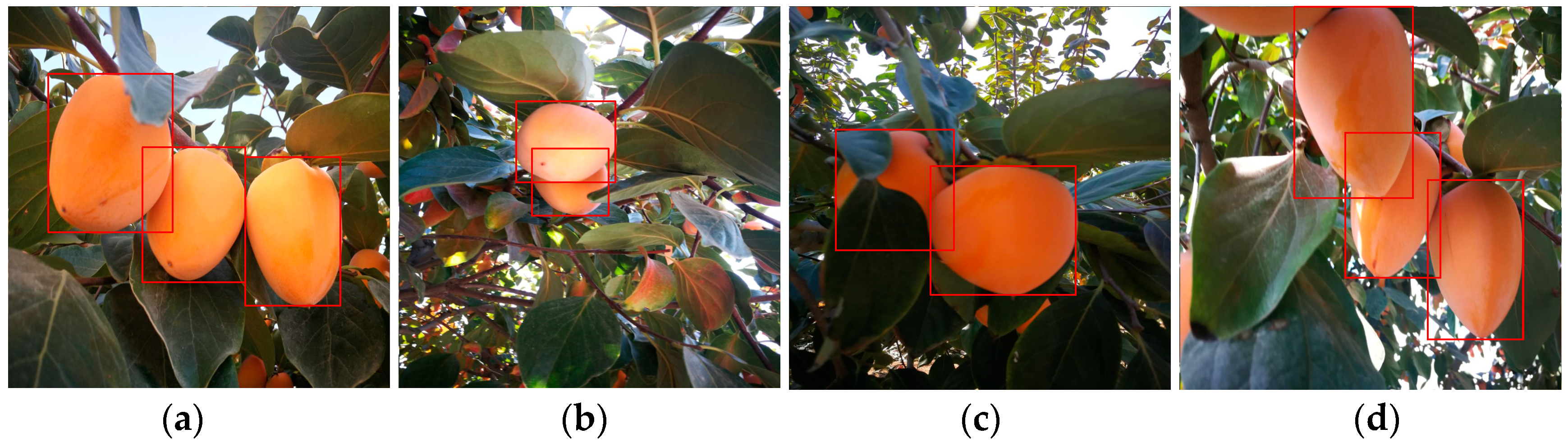 Sensors 19 01058 g005