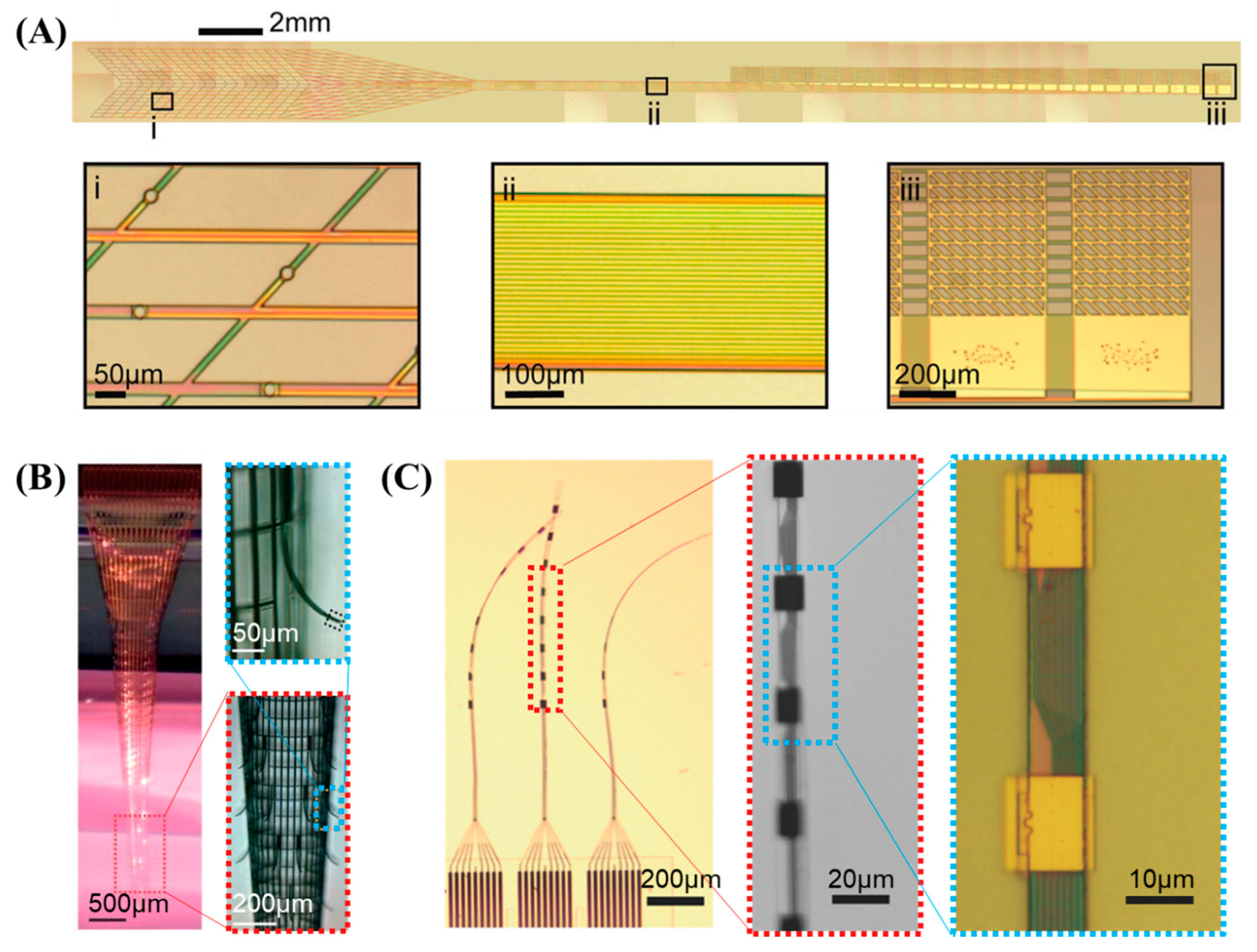Sensors 19 01069 g004