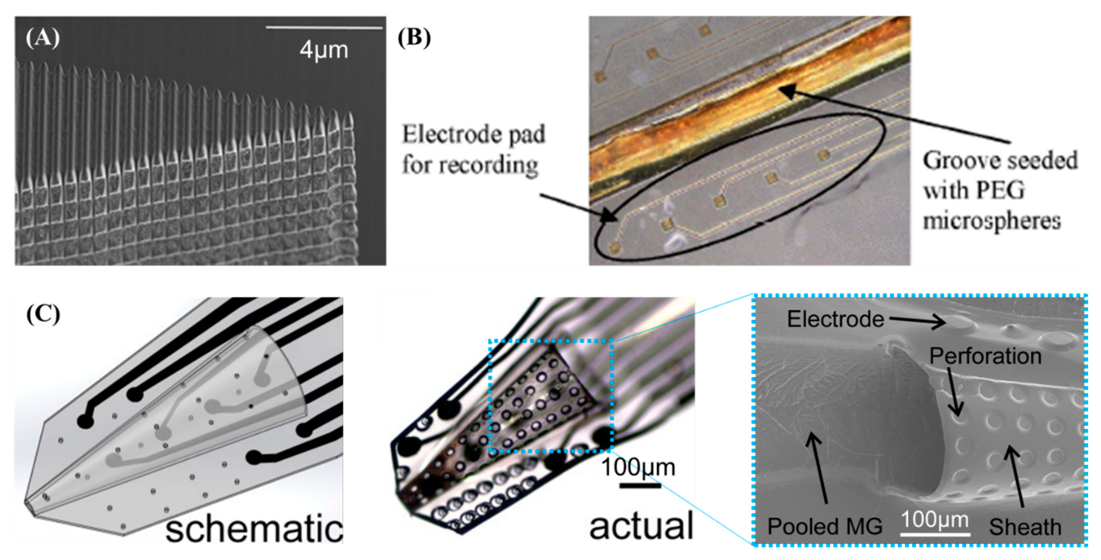 Sensors 19 01069 g005
