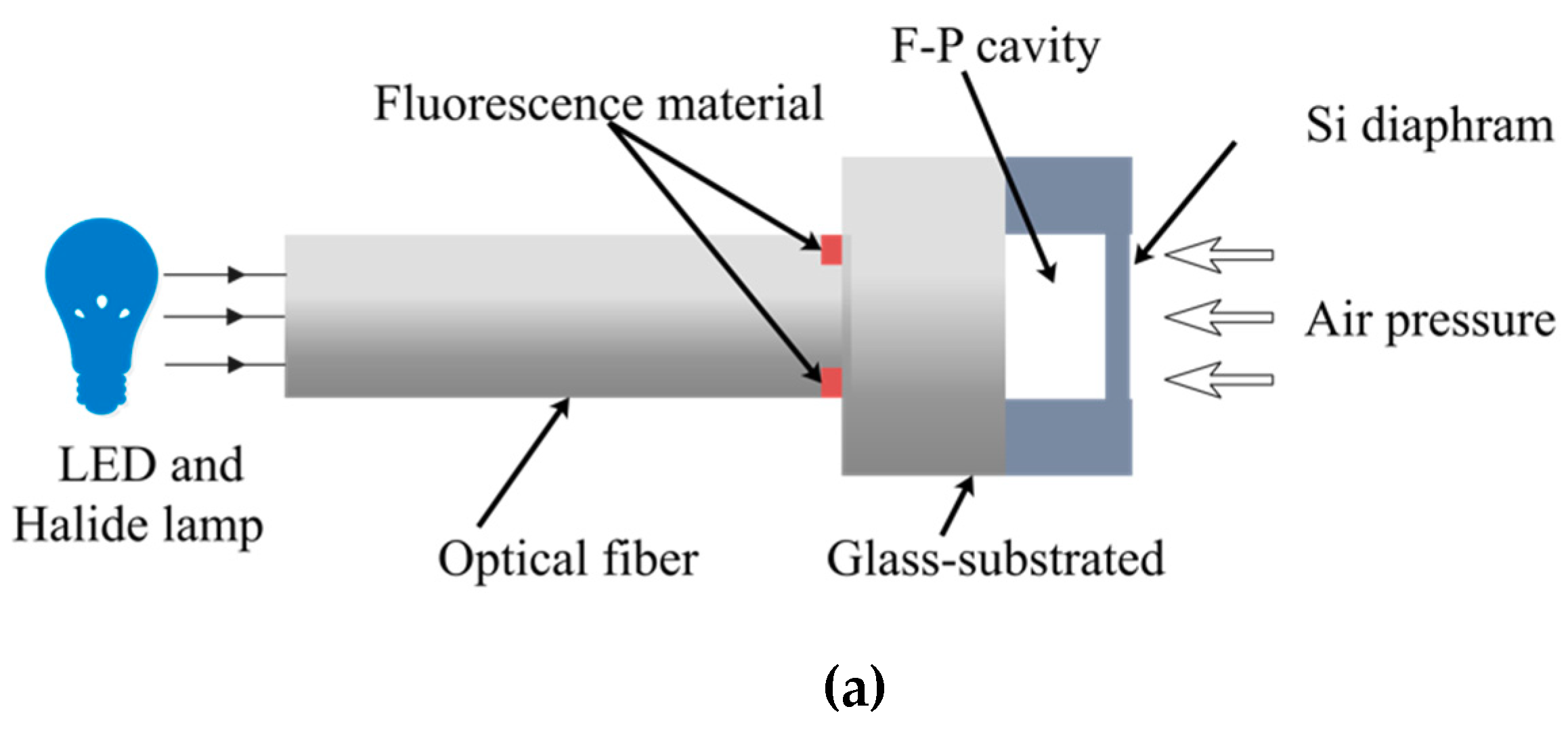 Sensors 19 01097 g001a