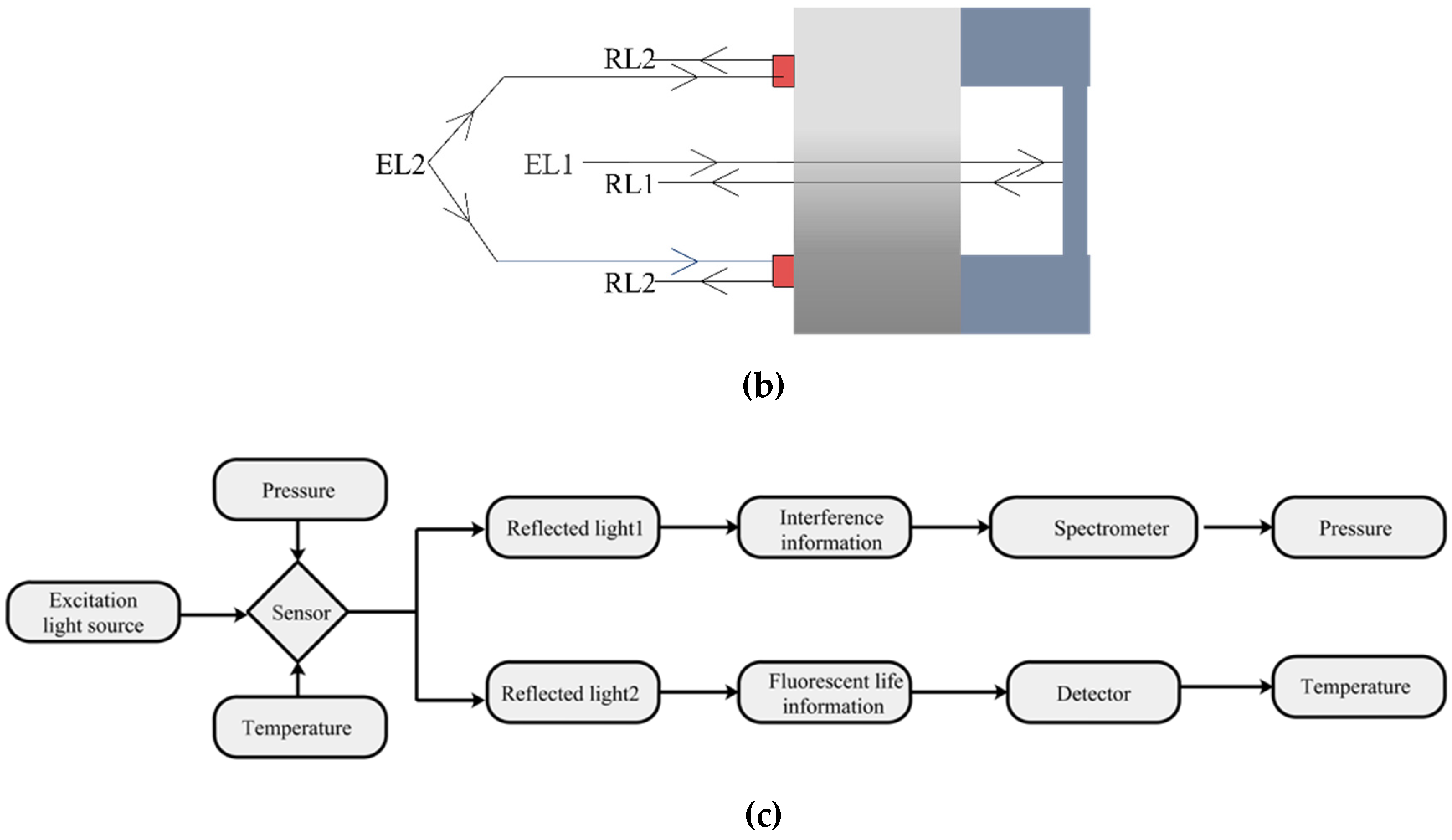 Sensors 19 01097 g001b