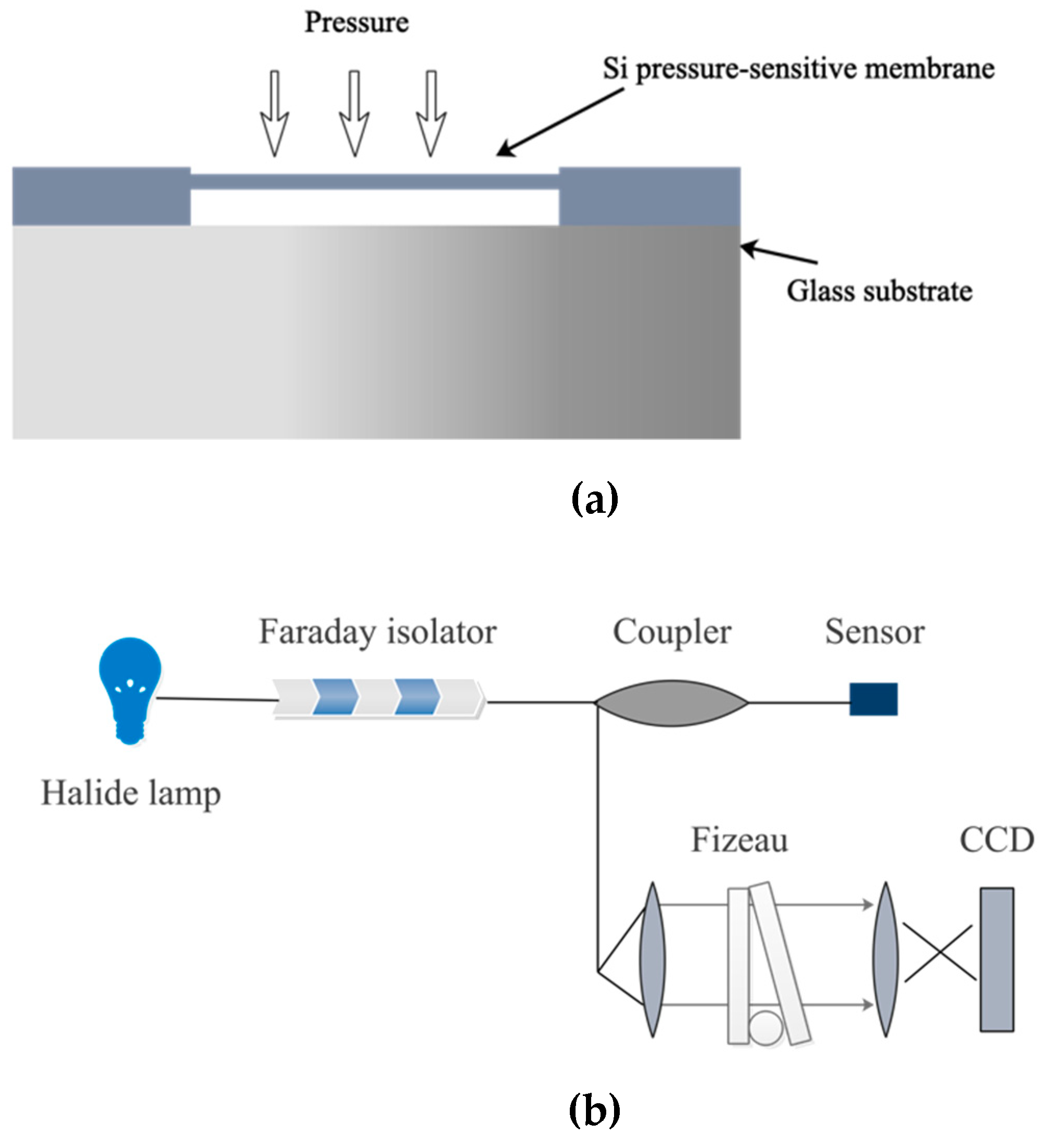 Sensors 19 01097 g002