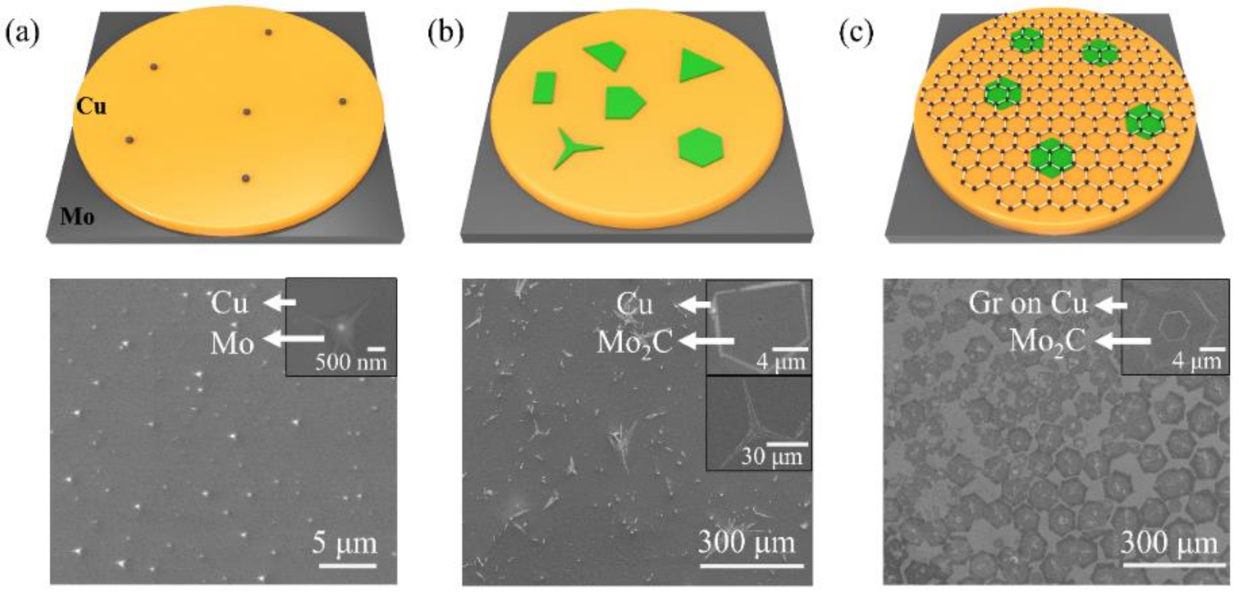Sensors 19 01099 g002