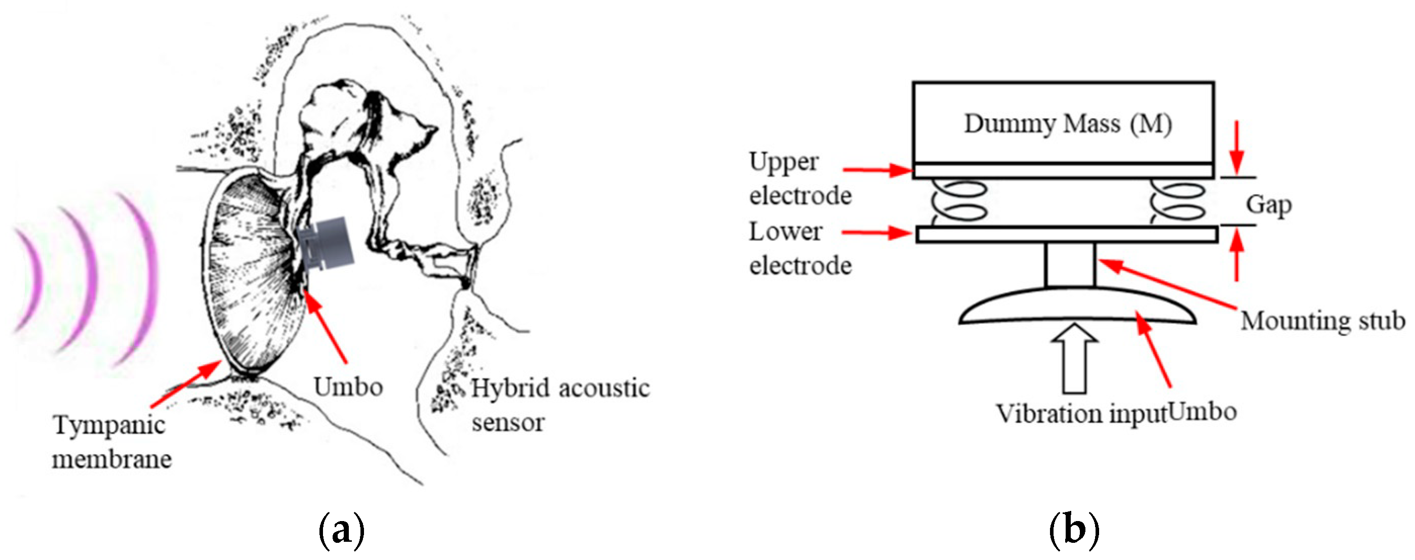 Sensors 19 01117 g001 Sensors 19 01117 g001