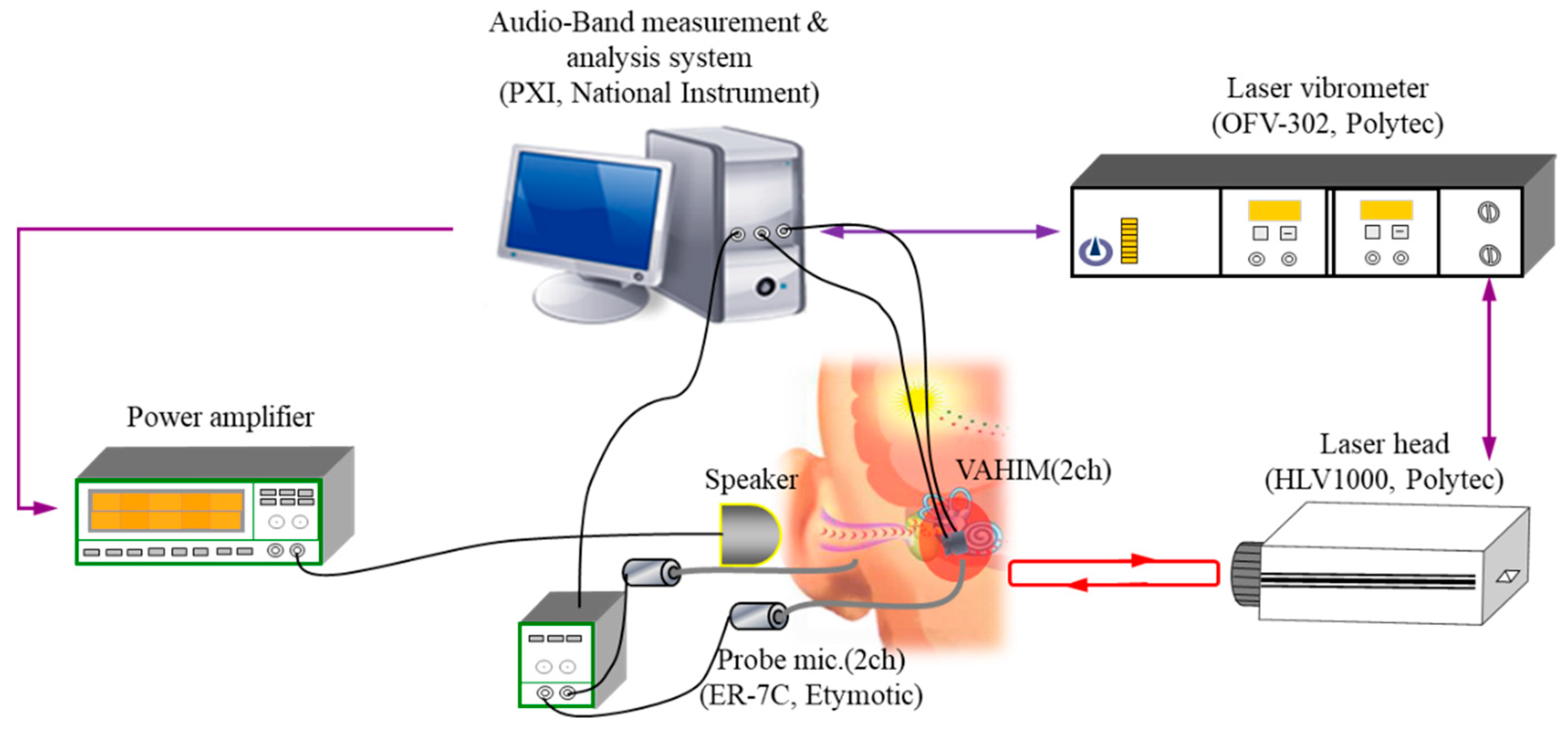 Sensors 19 01117 g010 Sensors 19 01117 g010