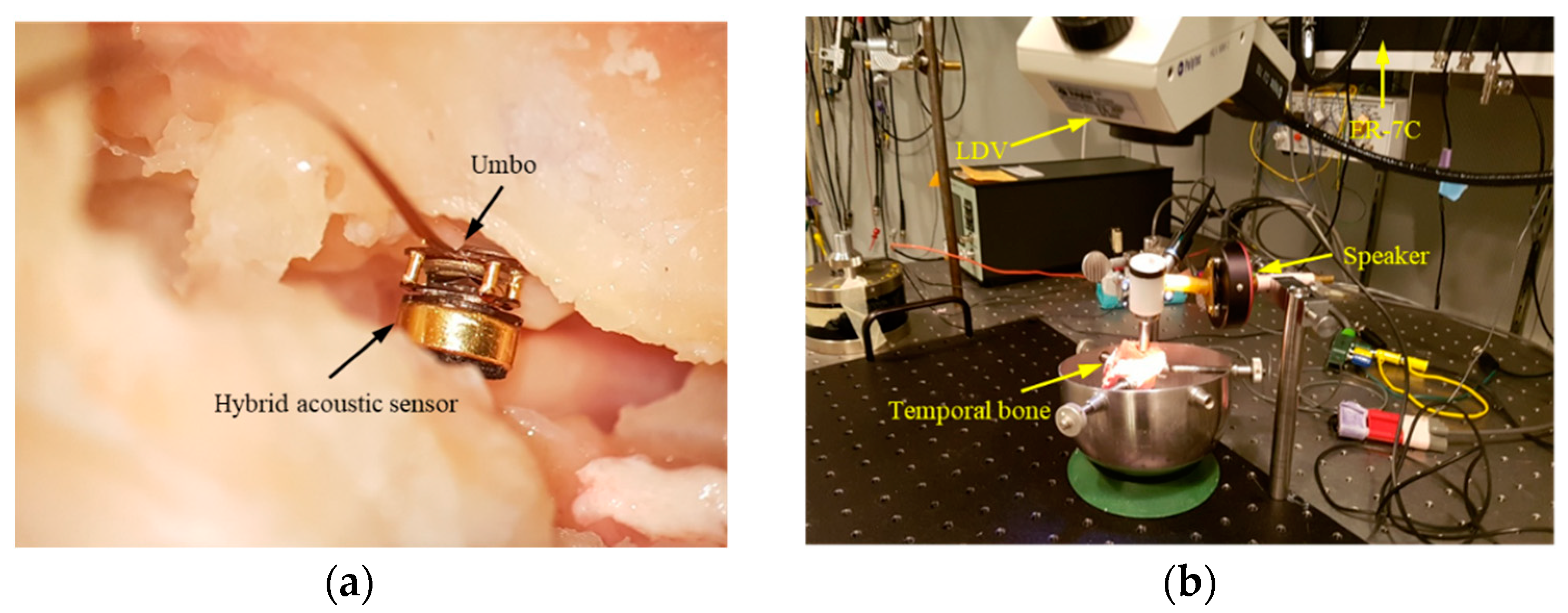 Sensors 19 01117 g011 Sensors 19 01117 g011