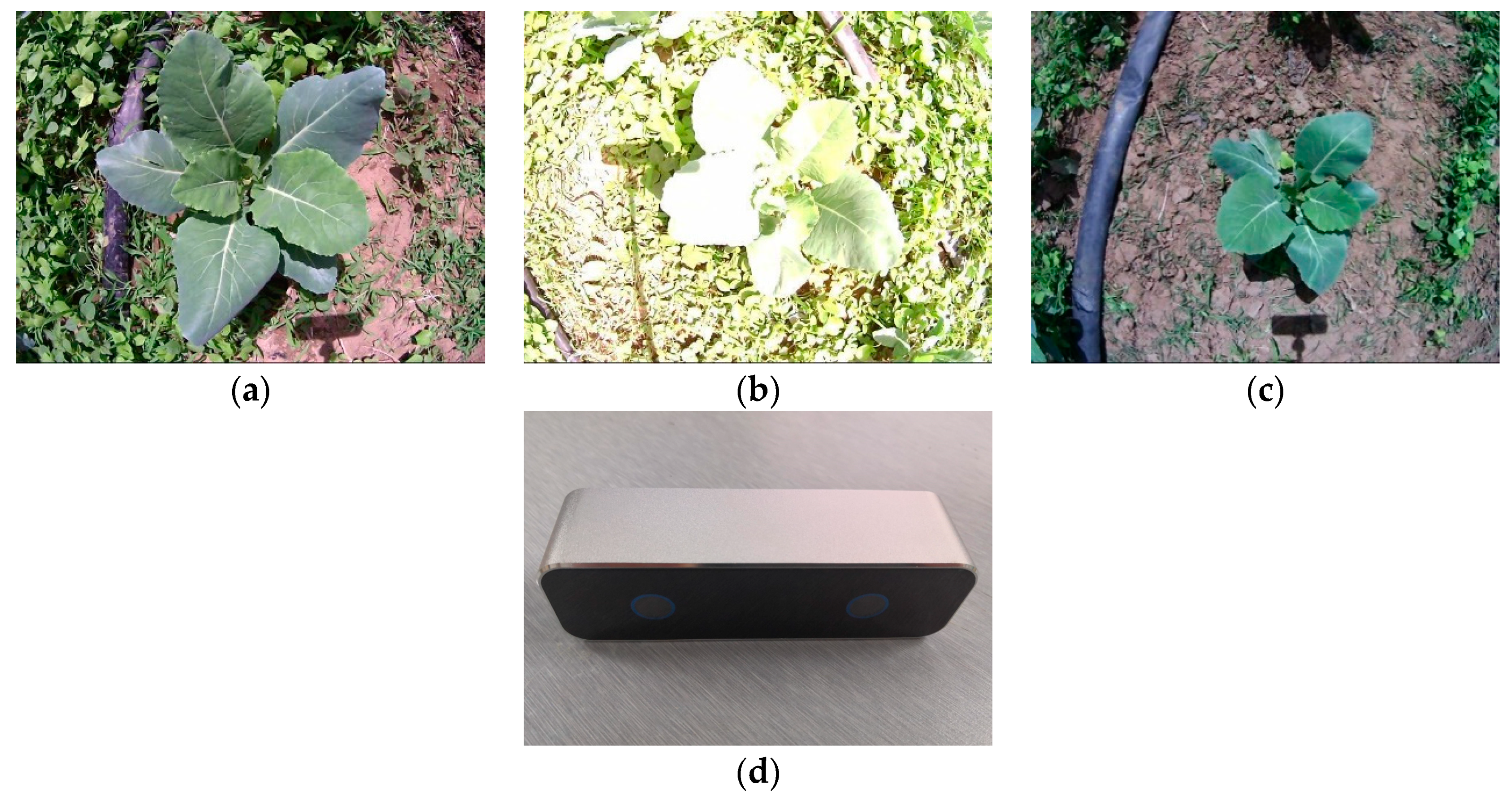 Sensors 19 01132 g001