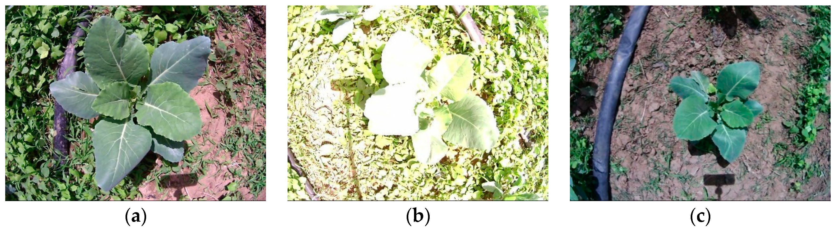 Sensors 19 01132 g003a