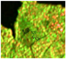 Sensors 19 01140 i001