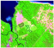 Sensors 19 01140 i003