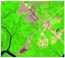 Sensors 19 01140 i009