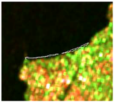 Sensors 19 01140 i010